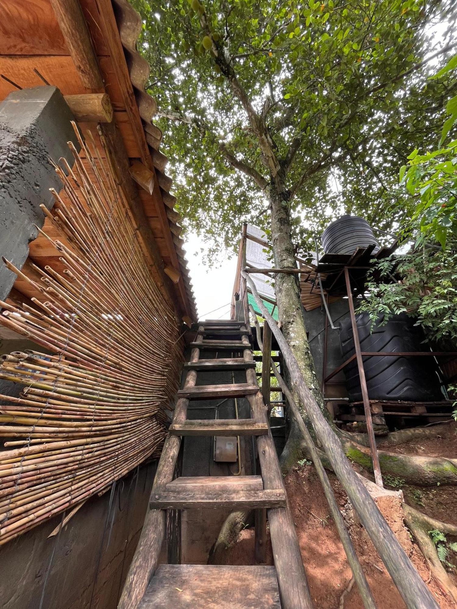 Hostel Backpackers