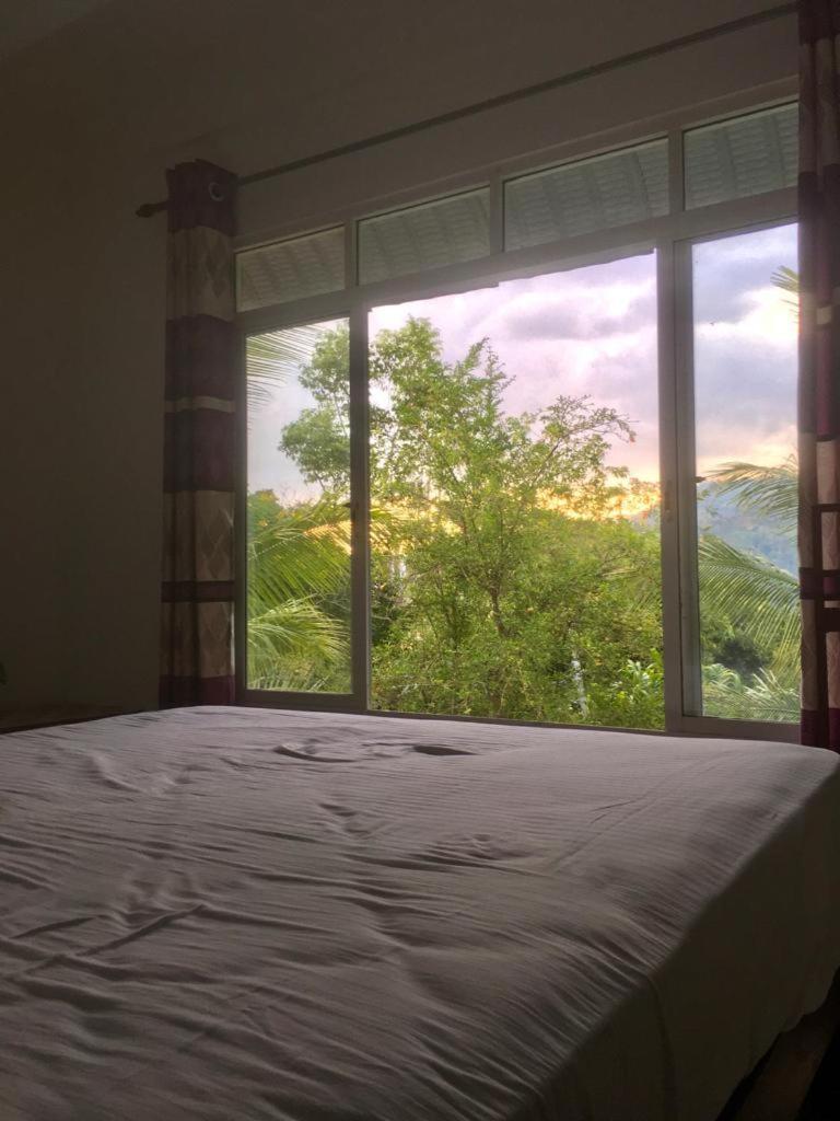 Misty View Bed & Breakfast *