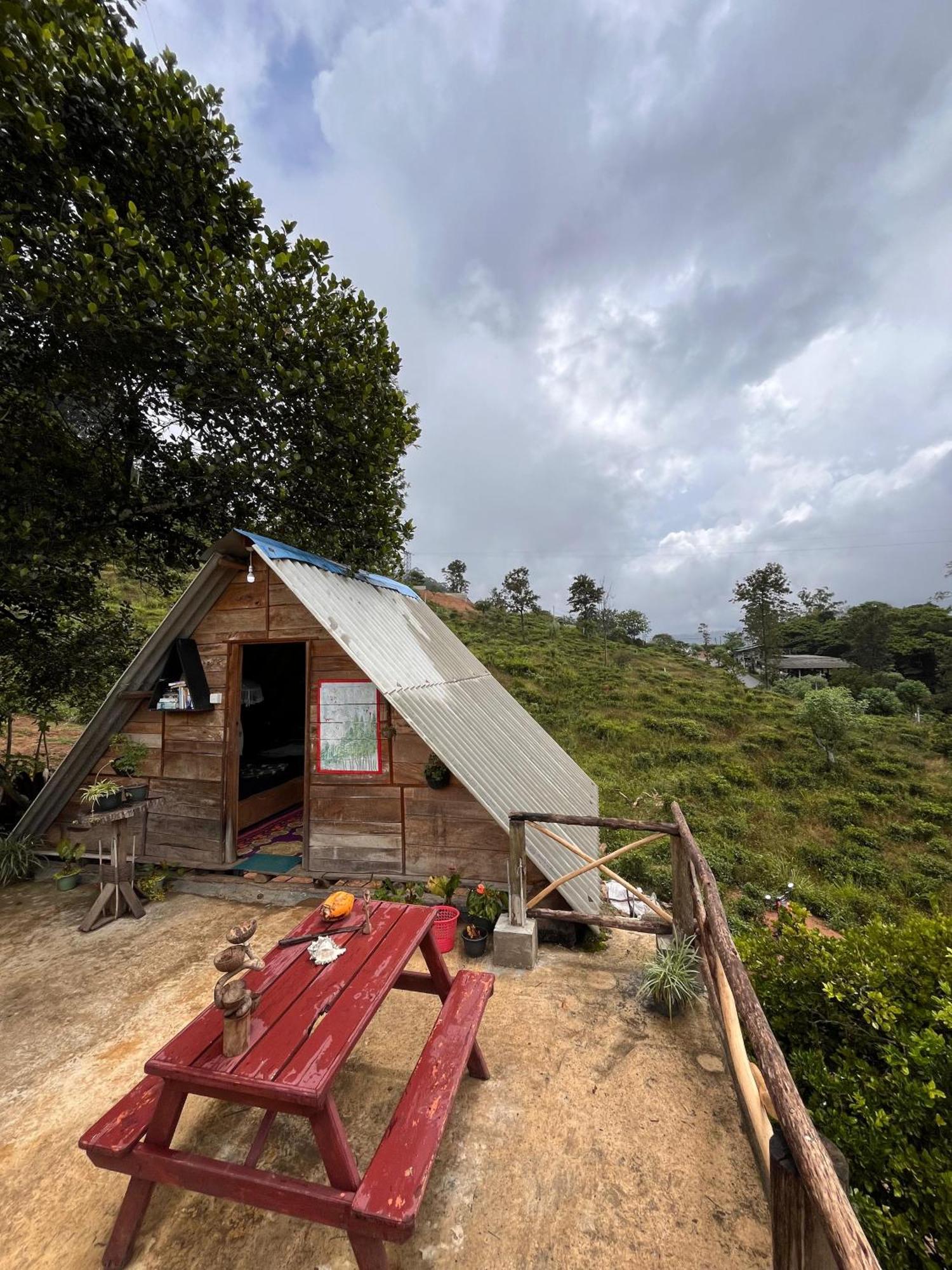 Backpackers
