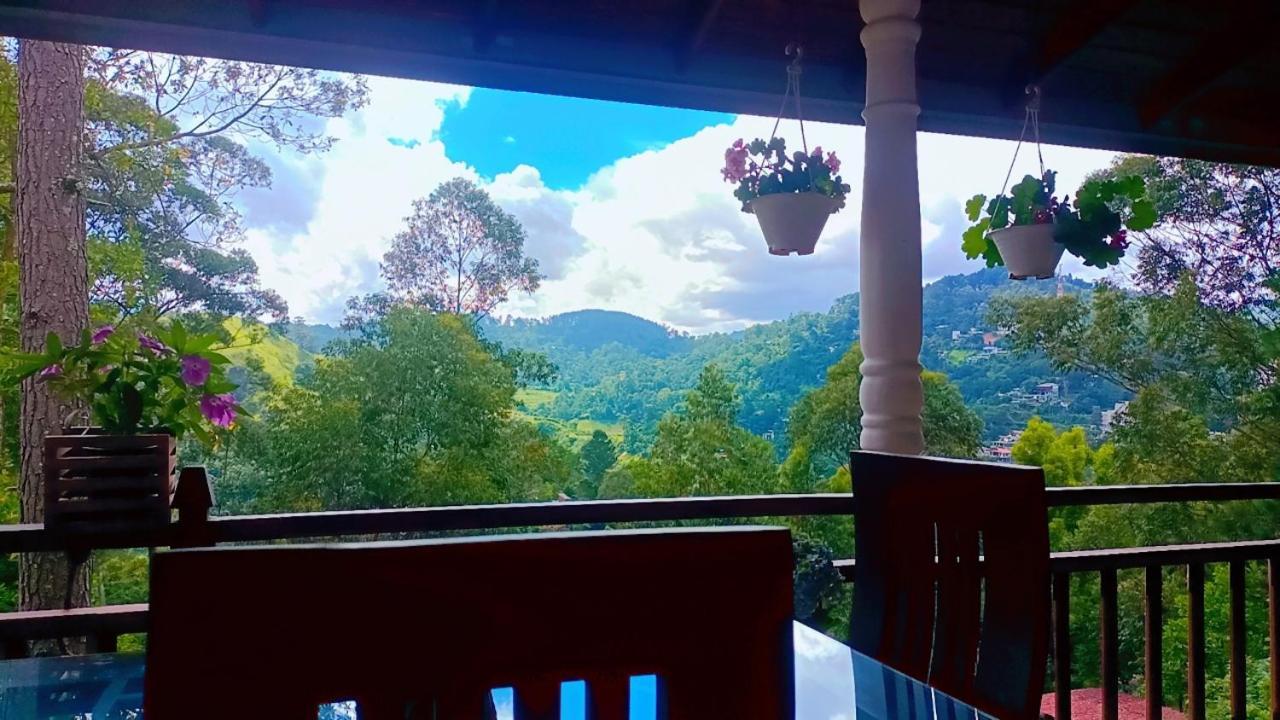Hillsite View * Ella