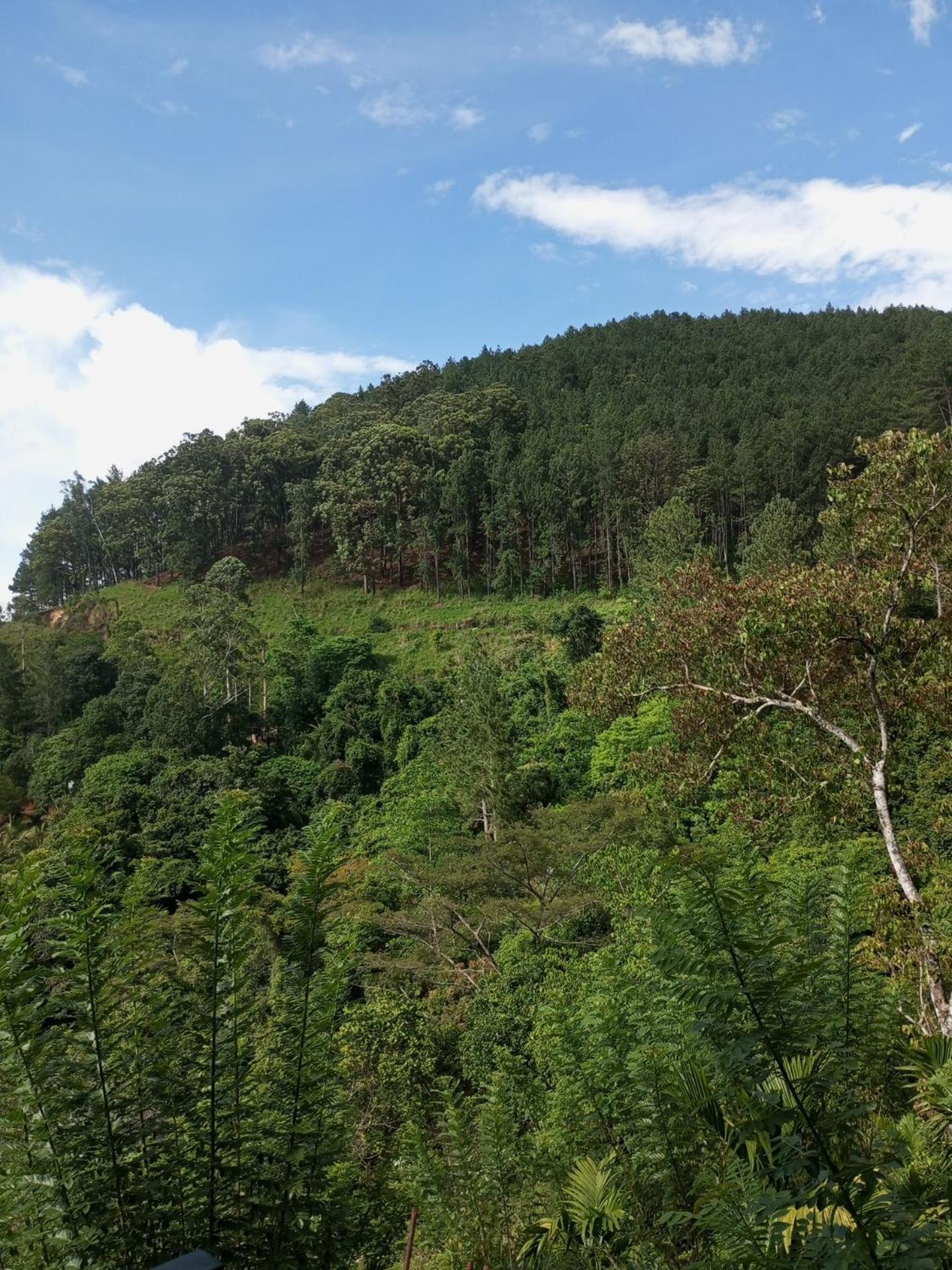 Homestay Chanidu