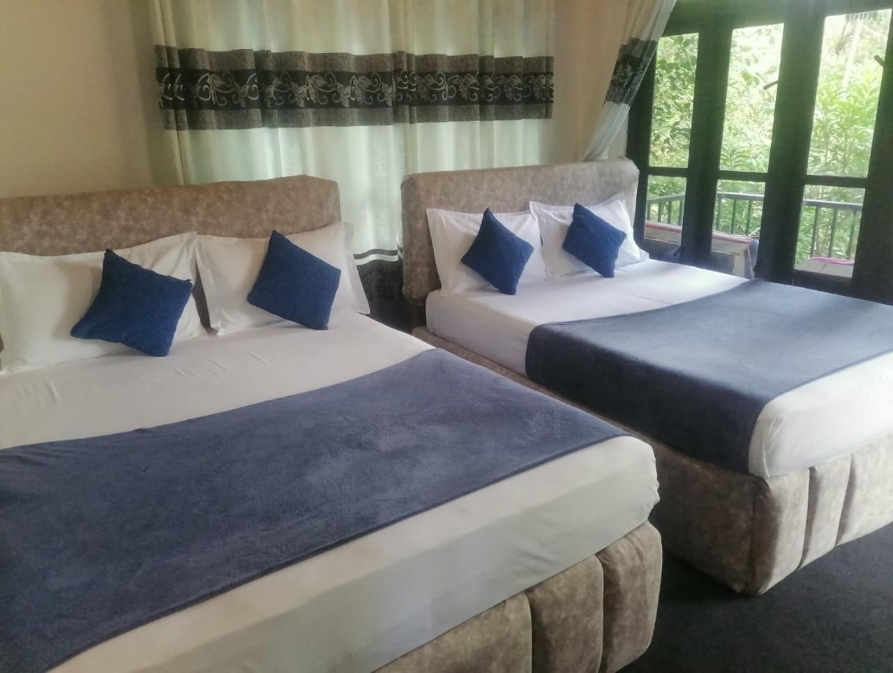 Summer Guest house 3*