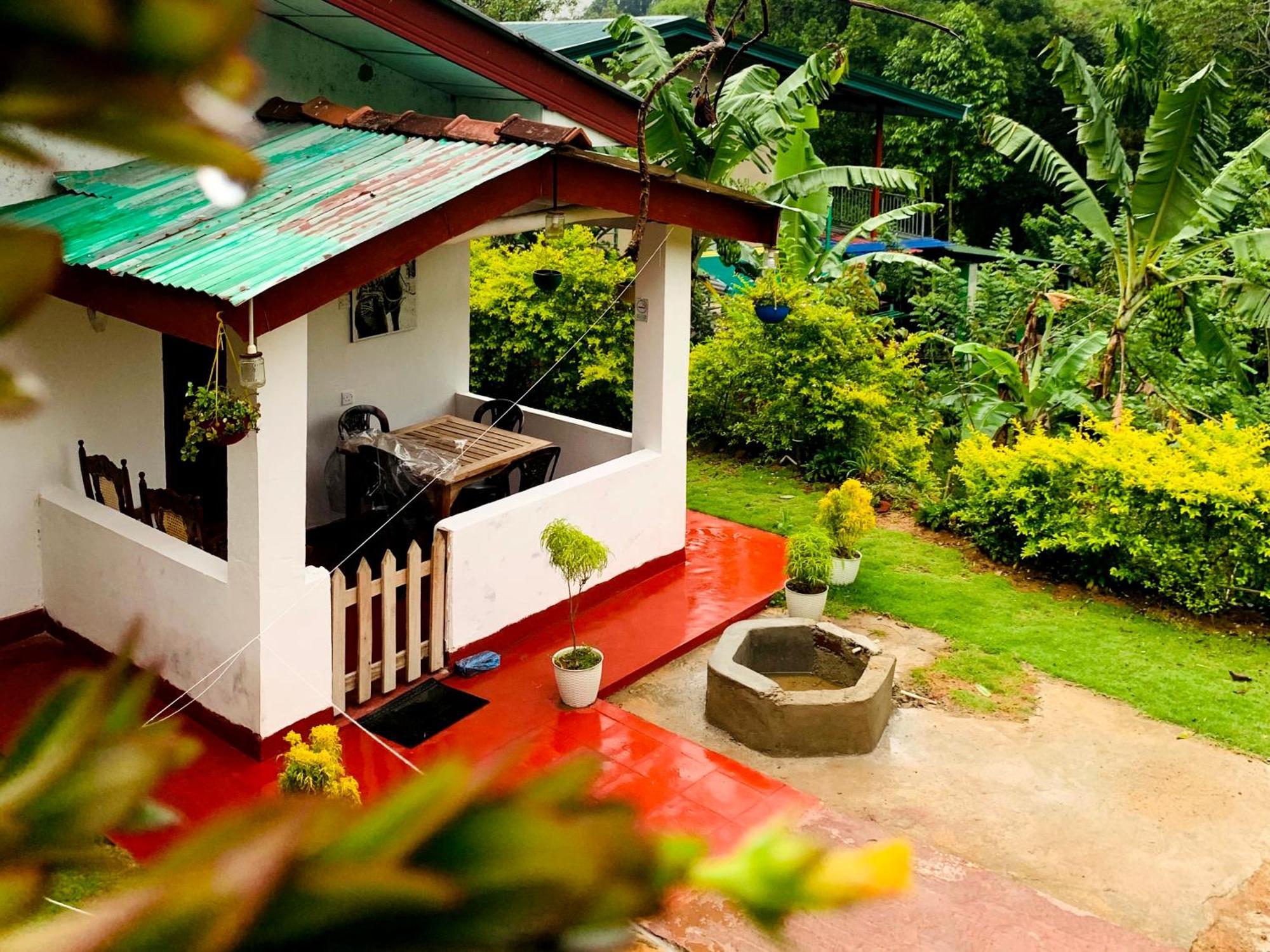 Willow Guest house