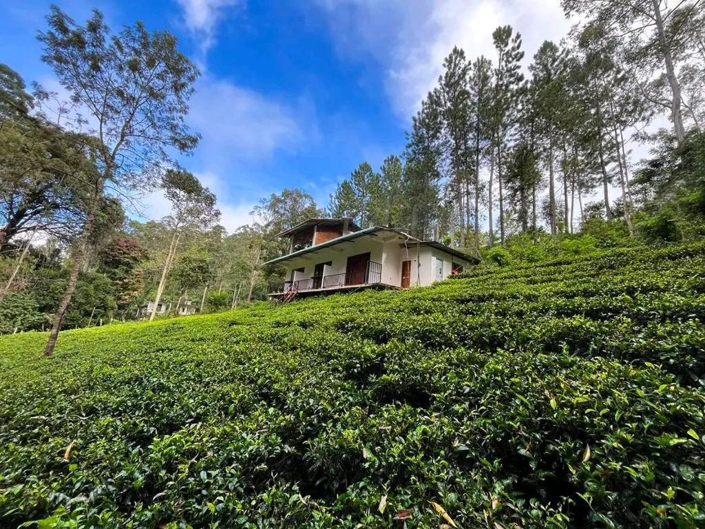 Guest house Wood *
