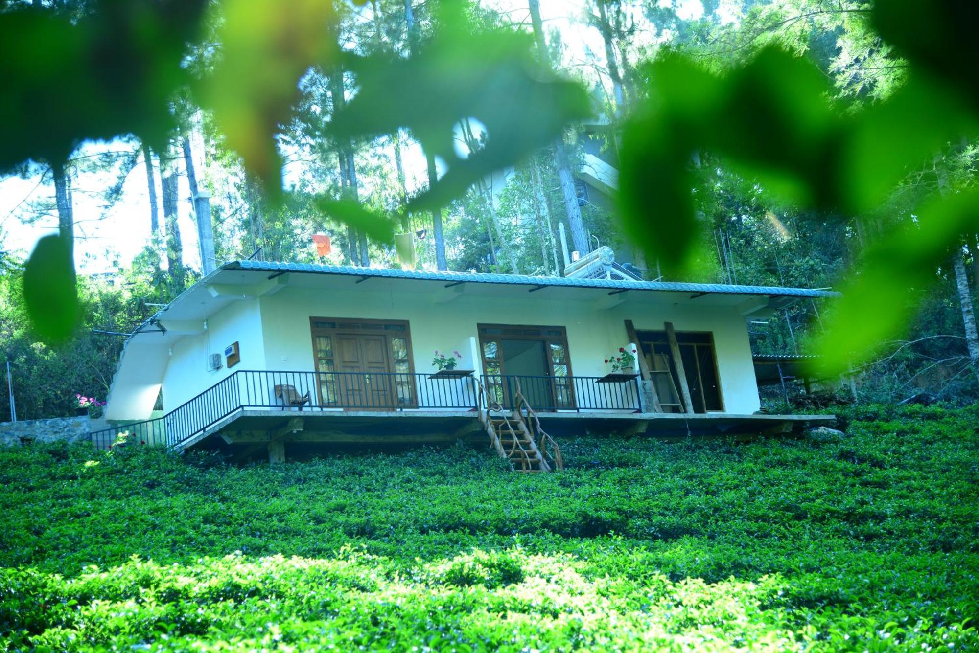 Wood Guest house *