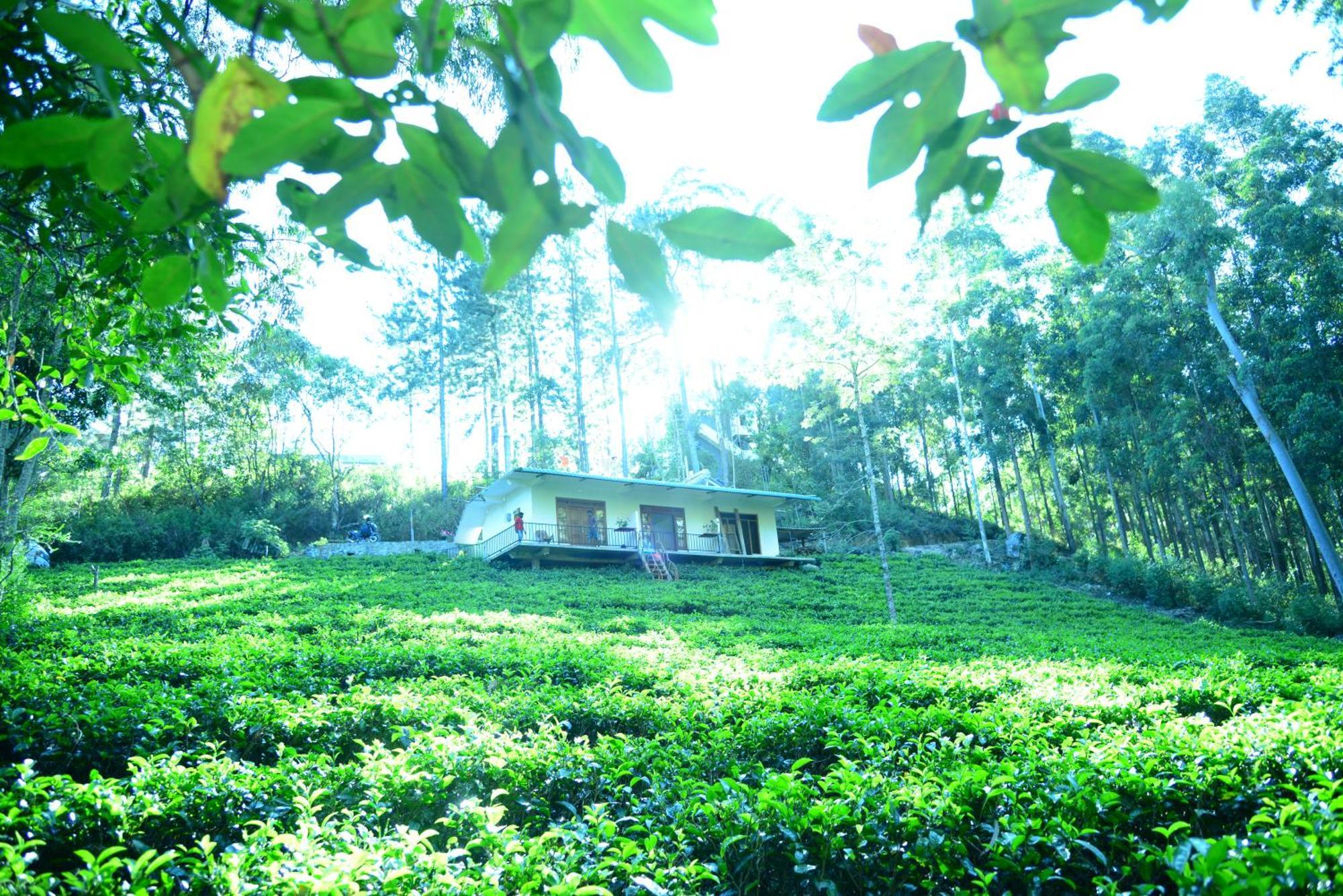 Guest house Wood Ella