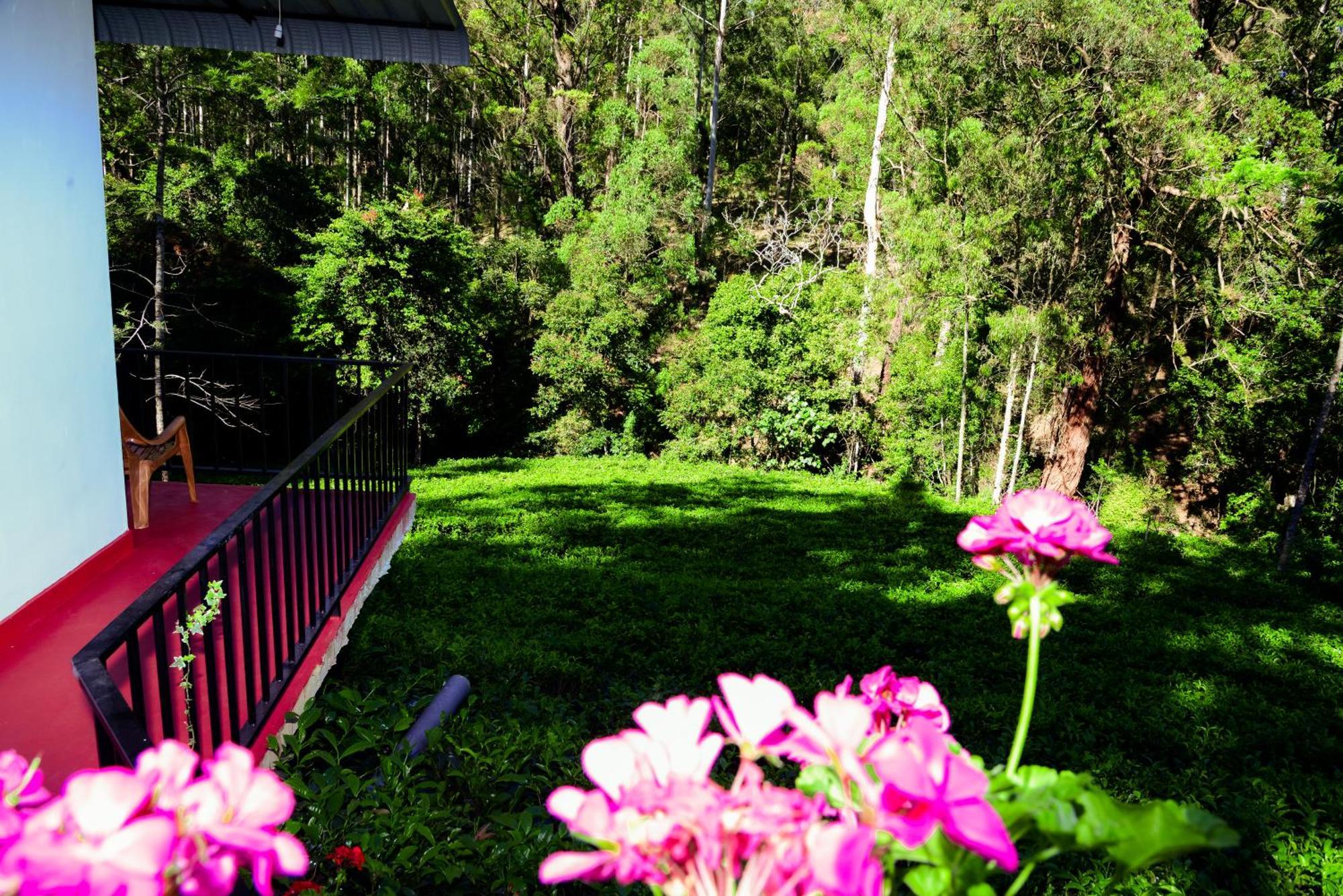 Guest house Wood