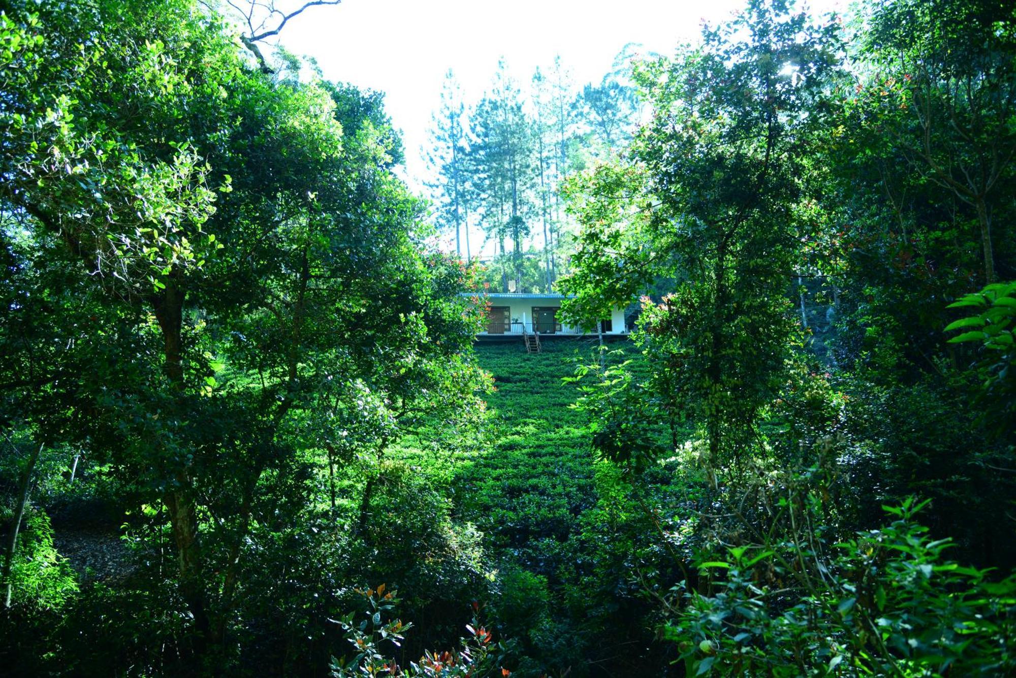 Wood Guest house *