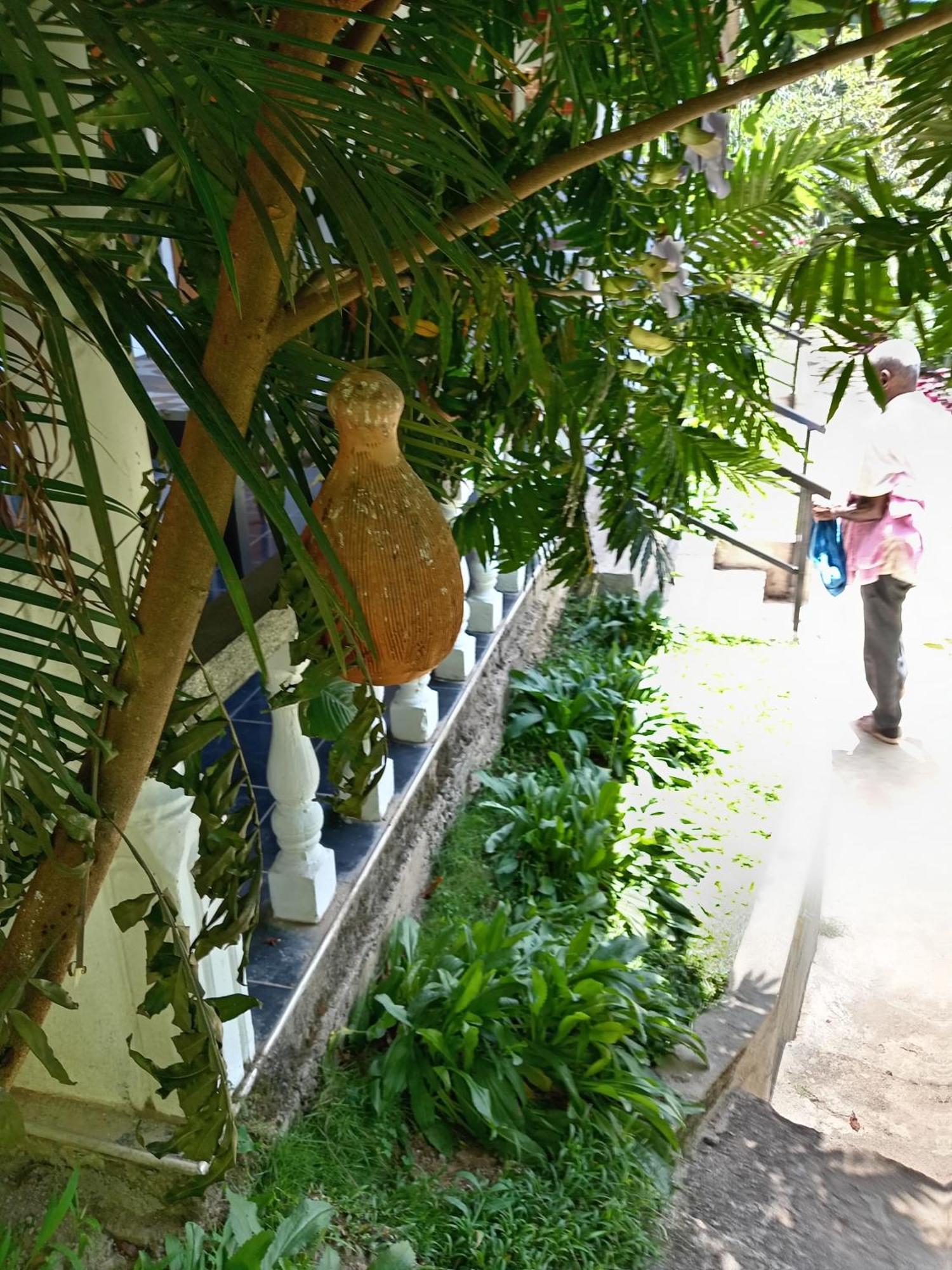 Guest house Soorya Ella