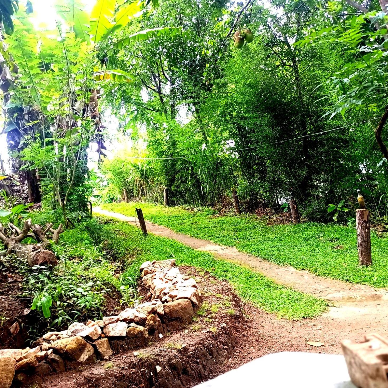 Foret Hostel *