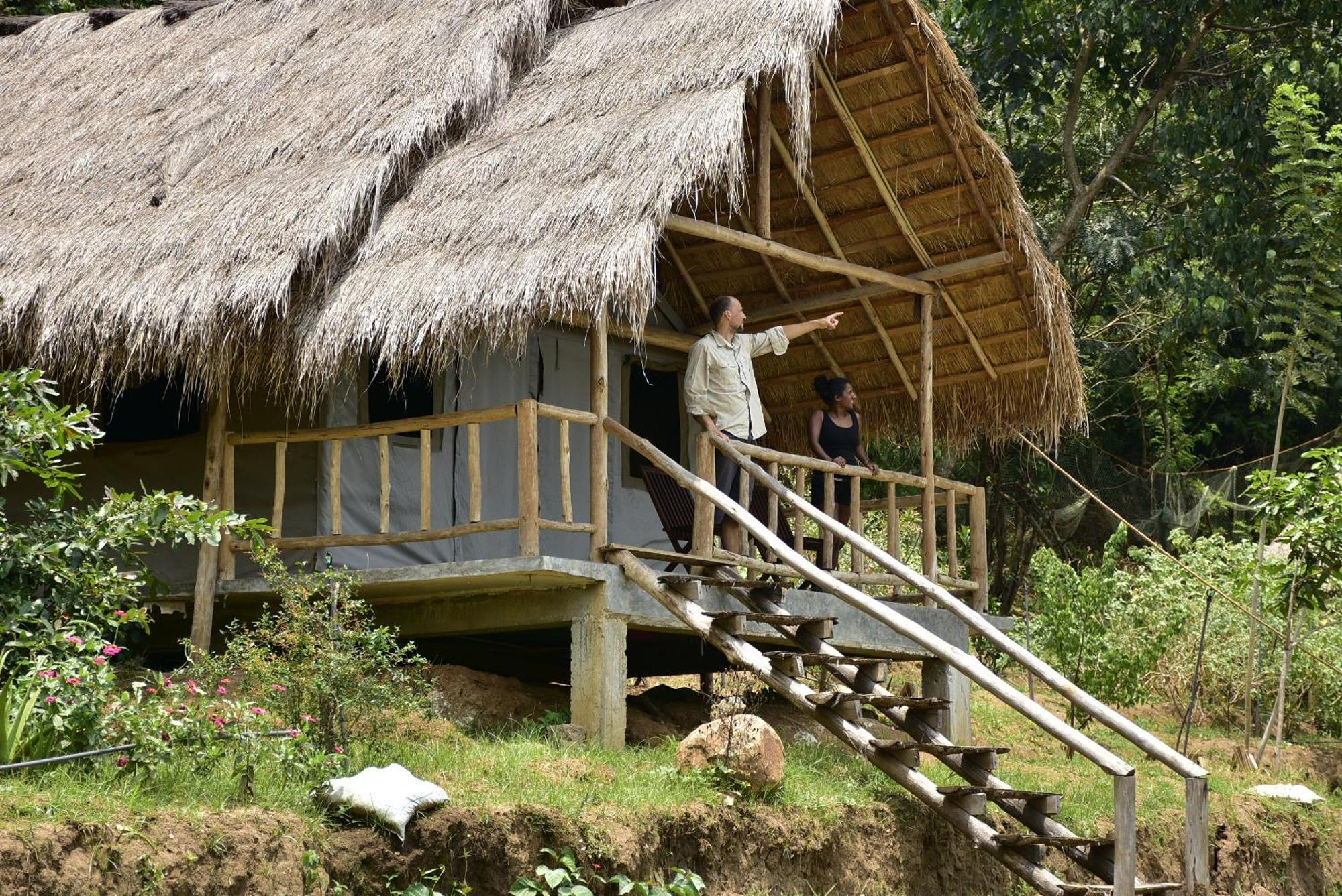 Resort Jungle 3*