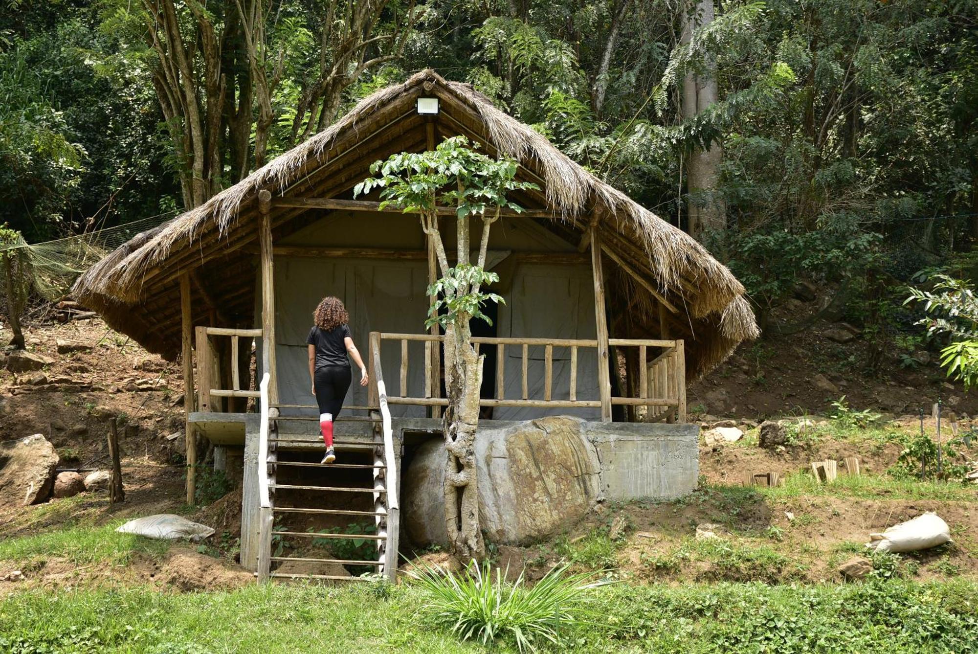 Jungle