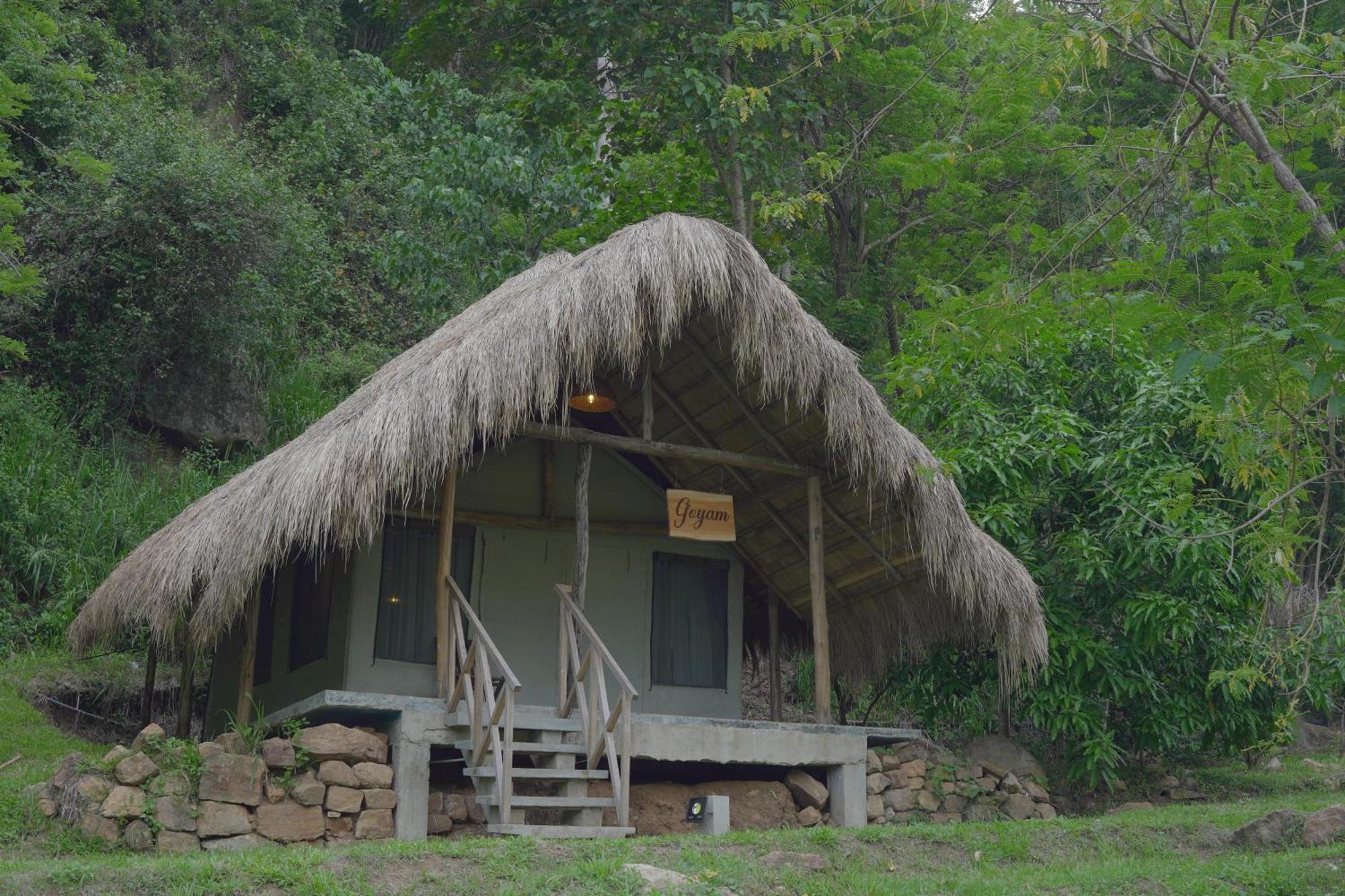 Jungle Resort