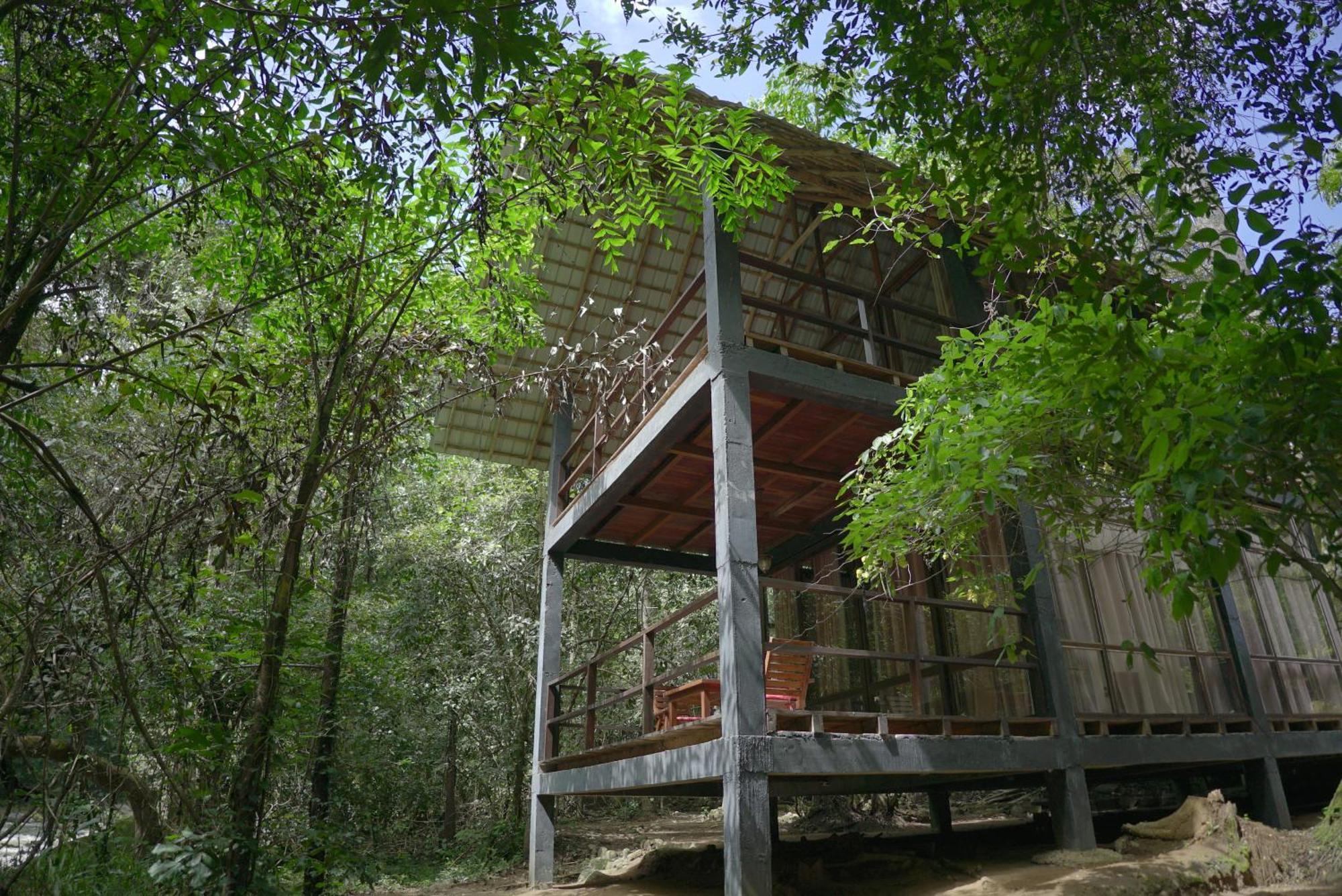 Jungle Resort Ella