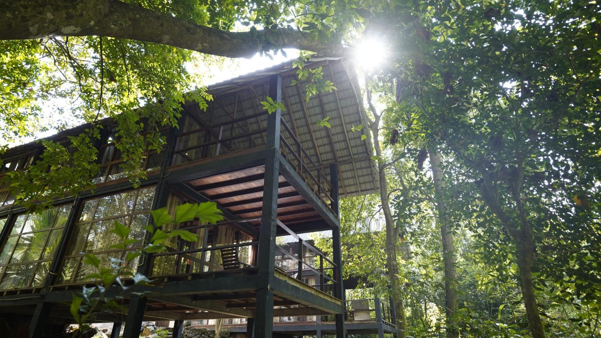 Resort Jungle Ella