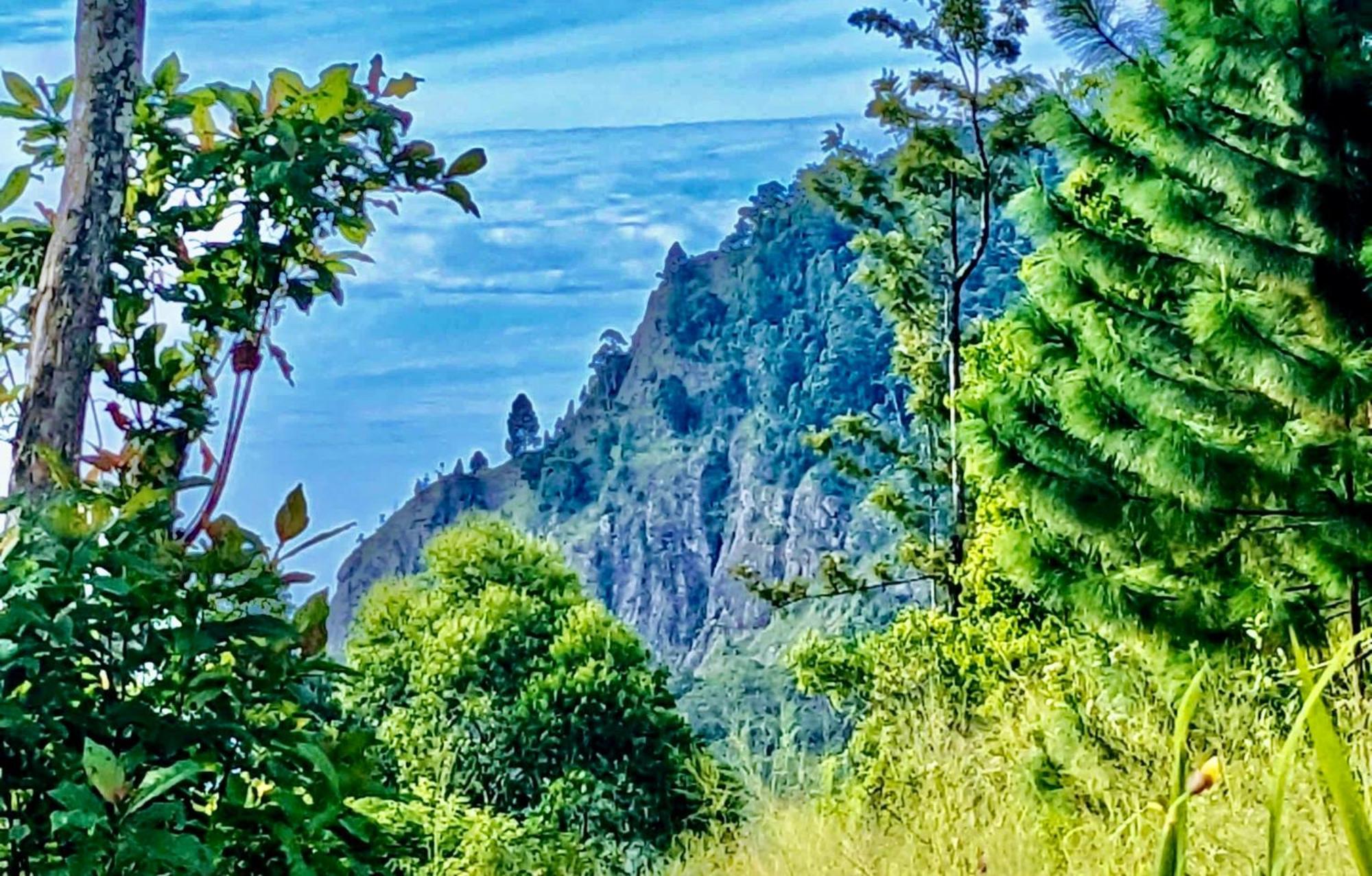 Mountain Peak Bed & Breakfast