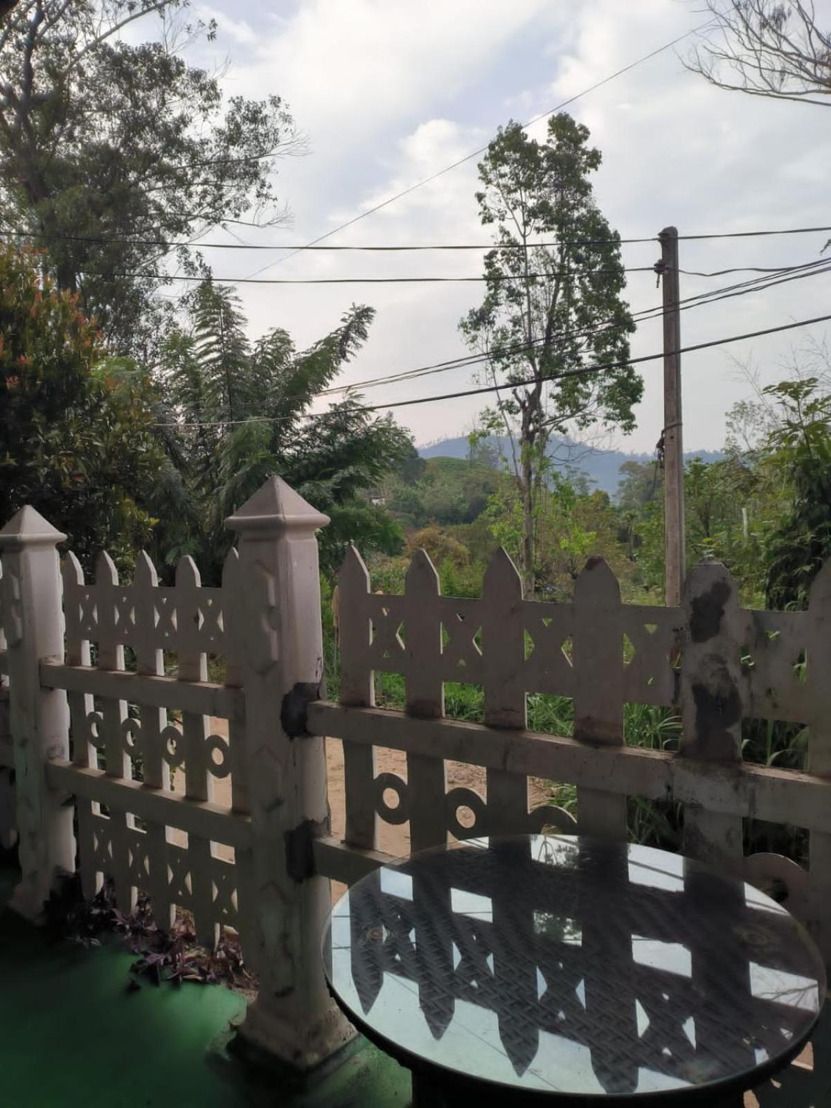 Slon White Elephant Bed & Breakfast