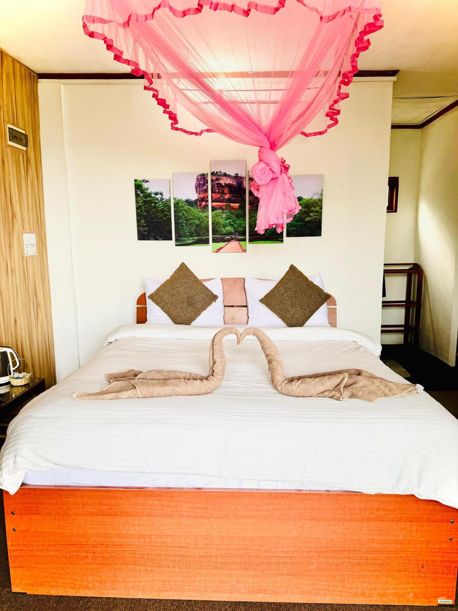 Homestay Will Guest Ella