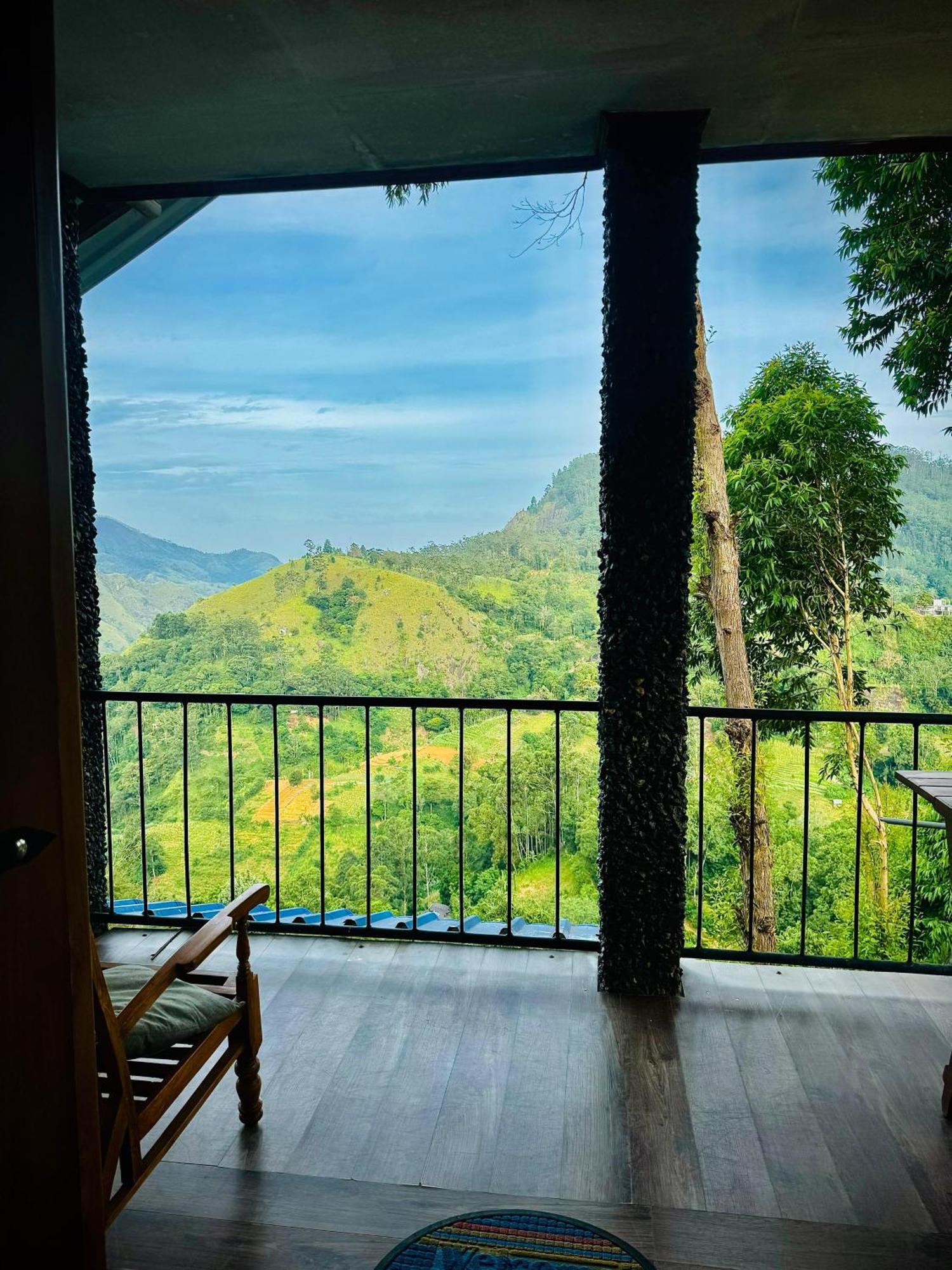 Homestay Will Guest