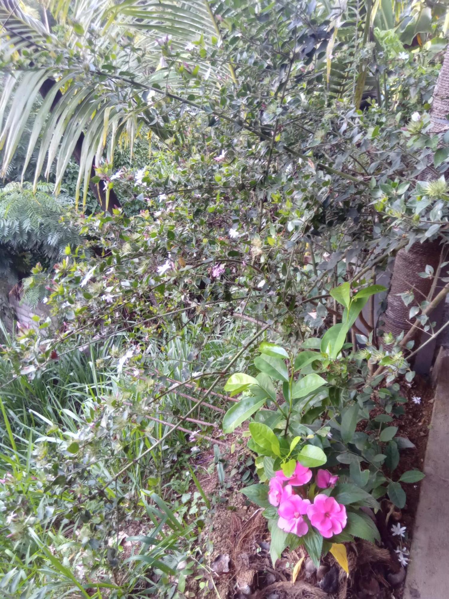Aroma Heaven Homestay