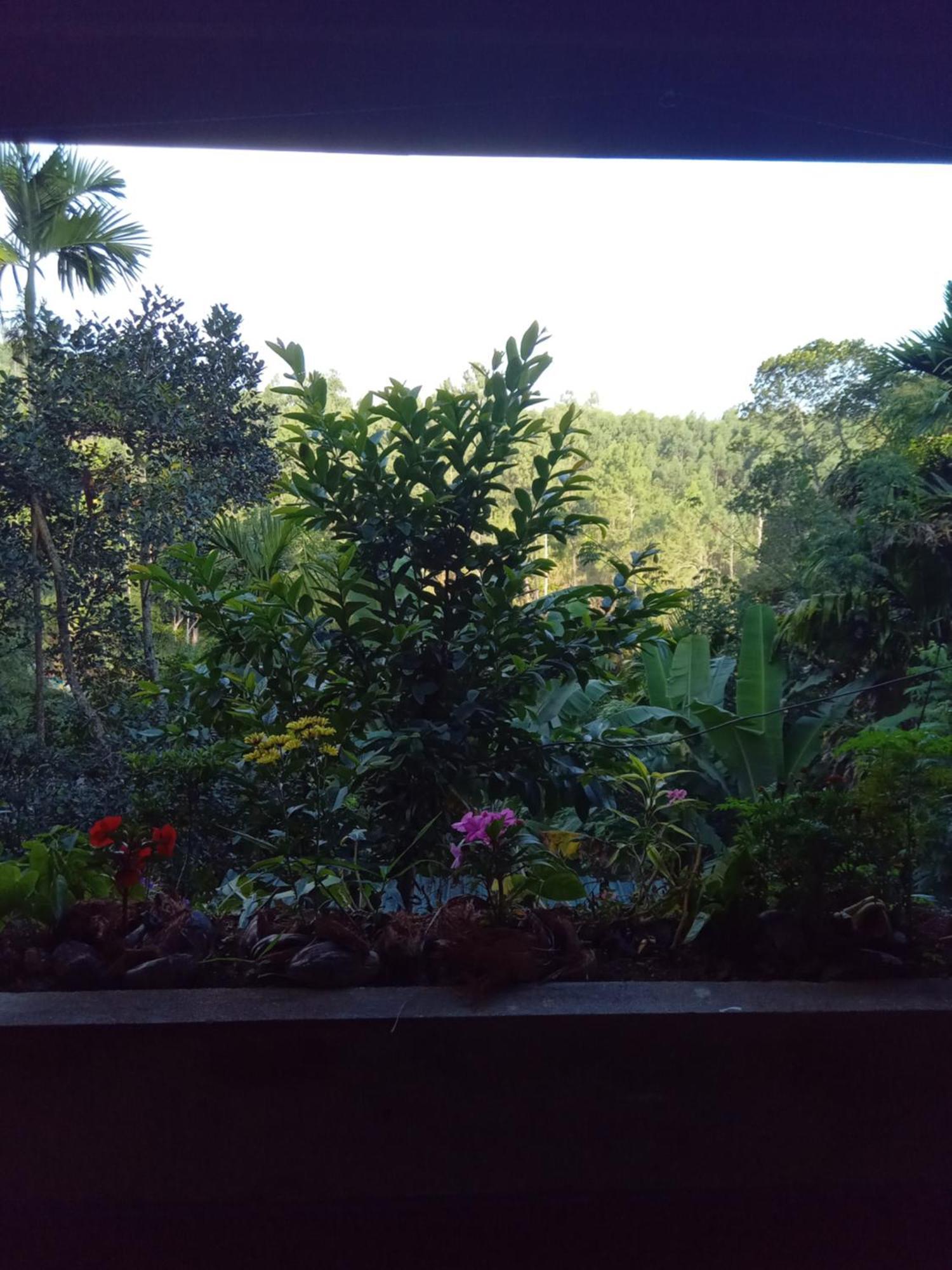 Homestay Aroma Heaven