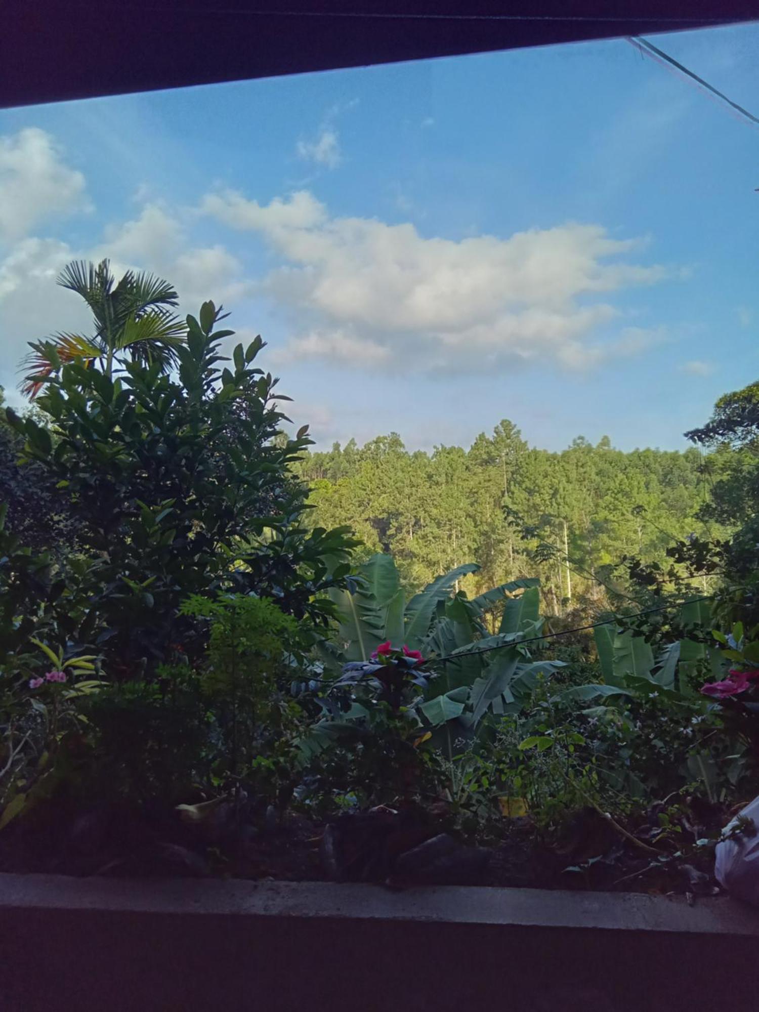 Homestay Aroma Heaven *