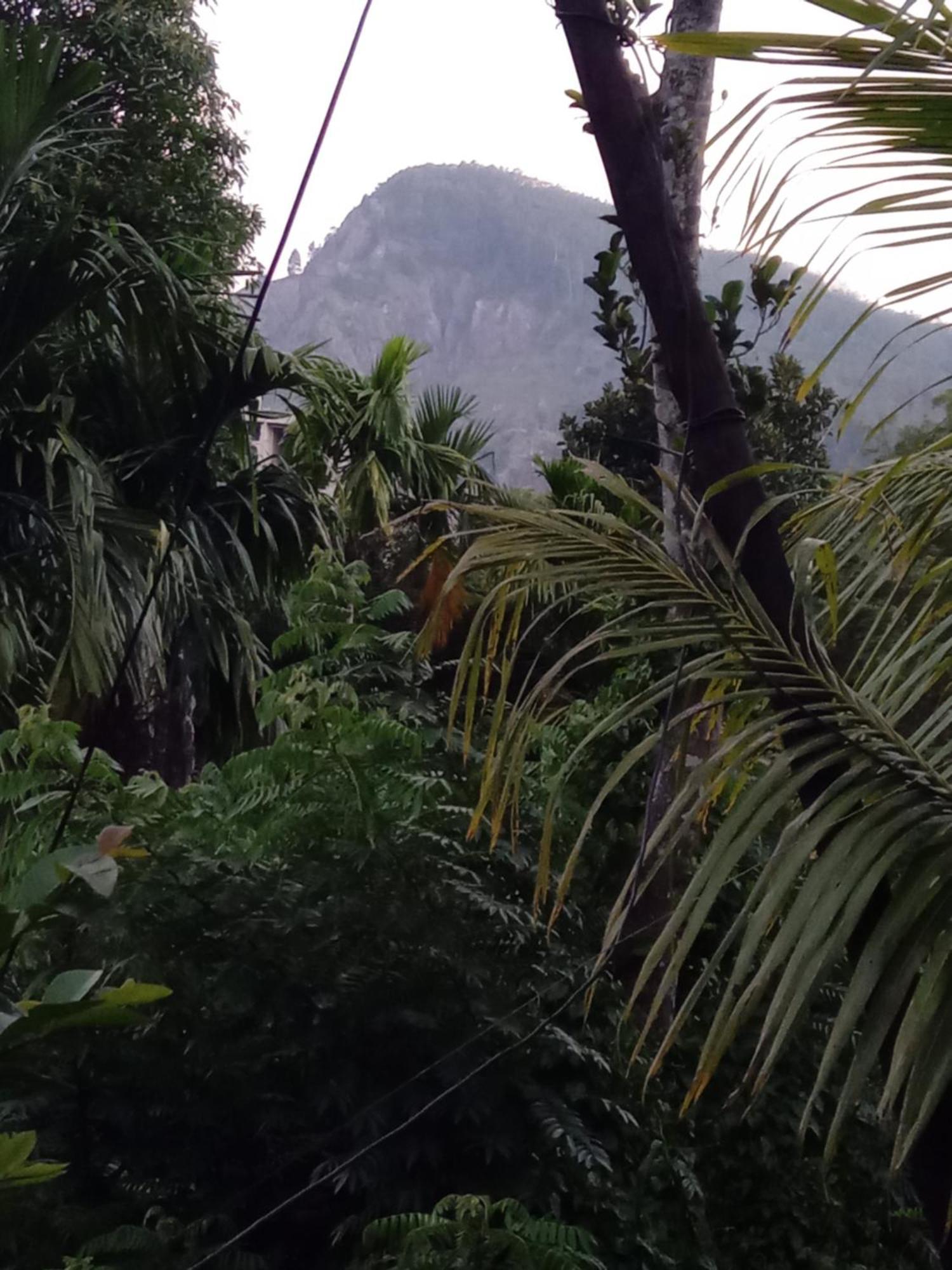 Homestay Aroma Heaven