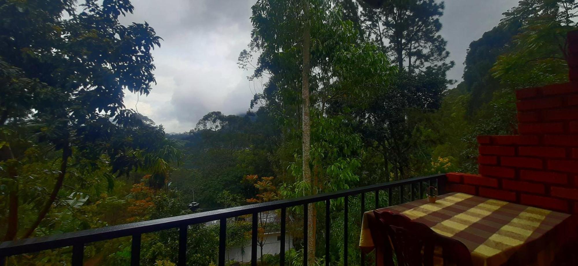 New View