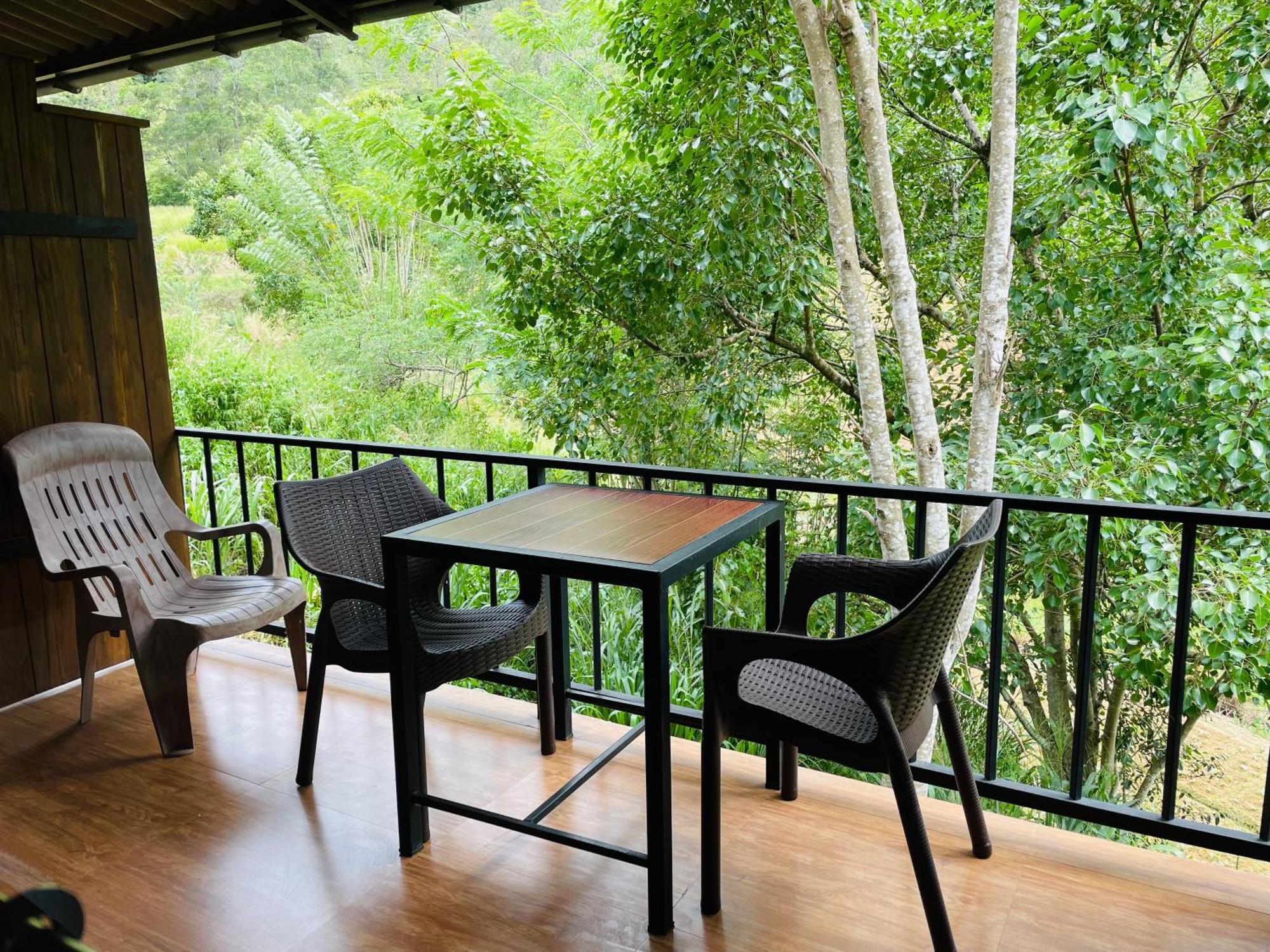 Wild Guest house *