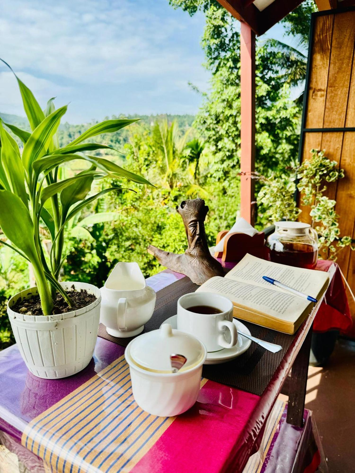 Rock Grand View Guest house *