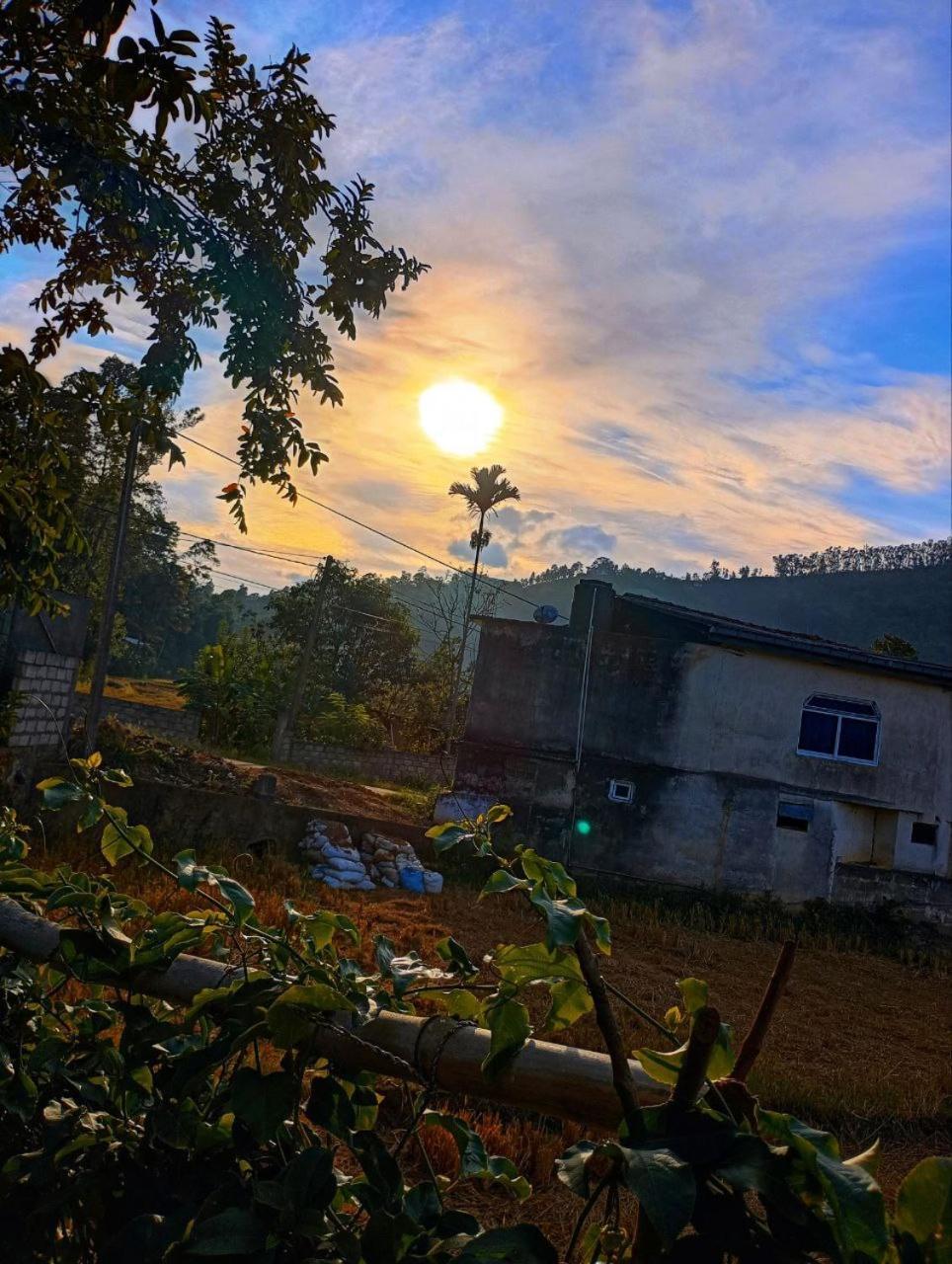 Nature Valley Homestay *