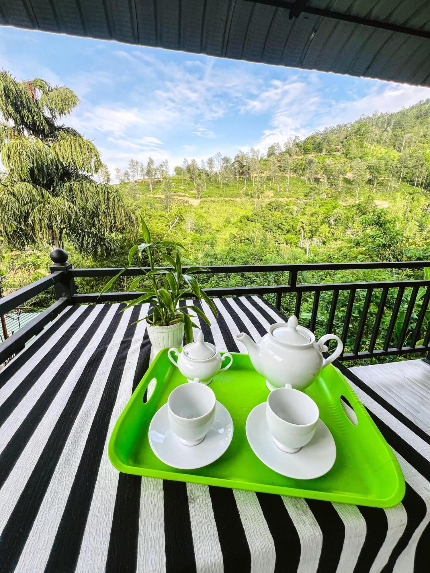 Guest house Tea Pick View