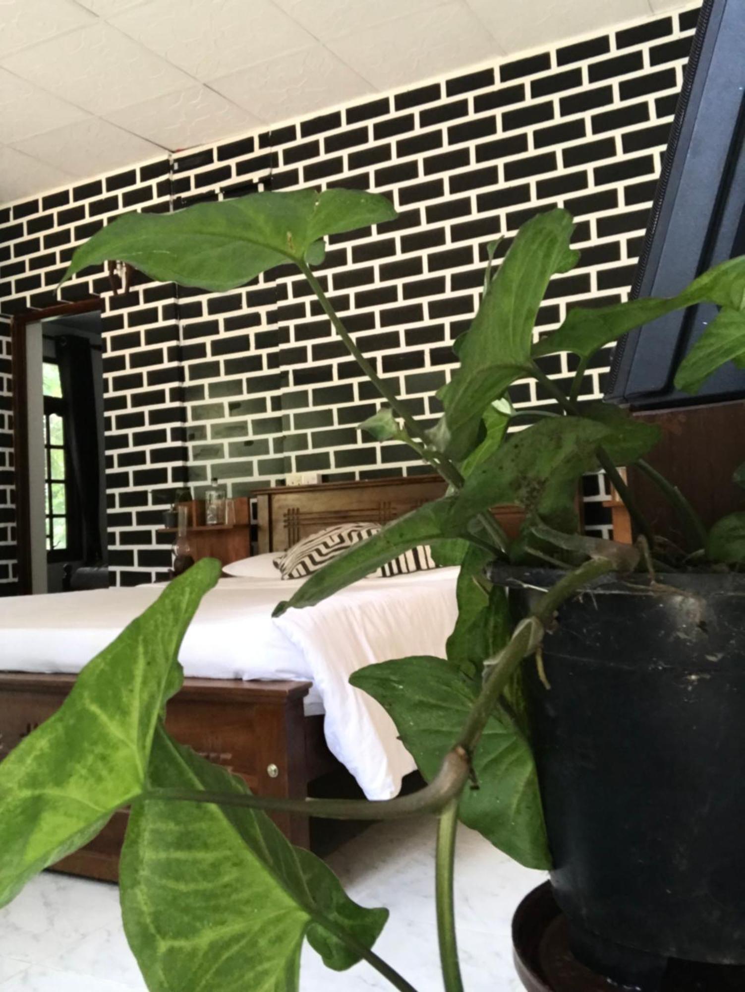 Rawana Guest house *