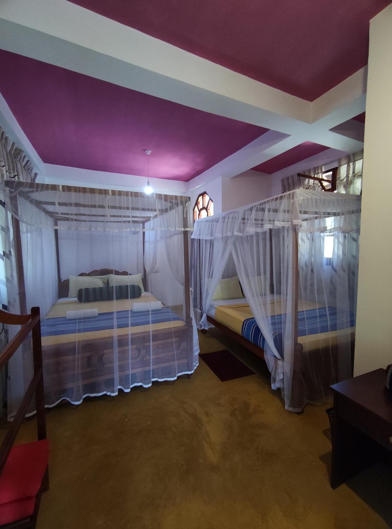 Guest house Tea Forest 2*