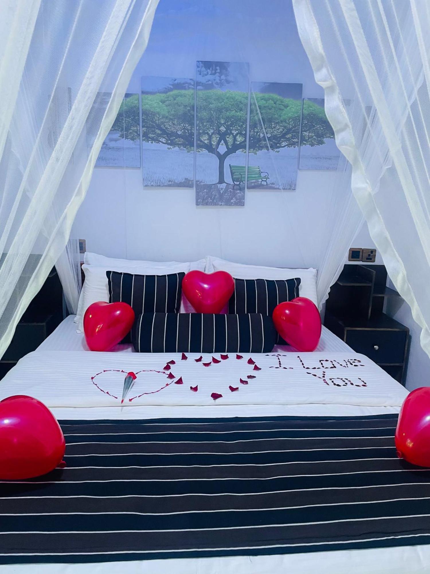 Bed & Breakfast Treetops