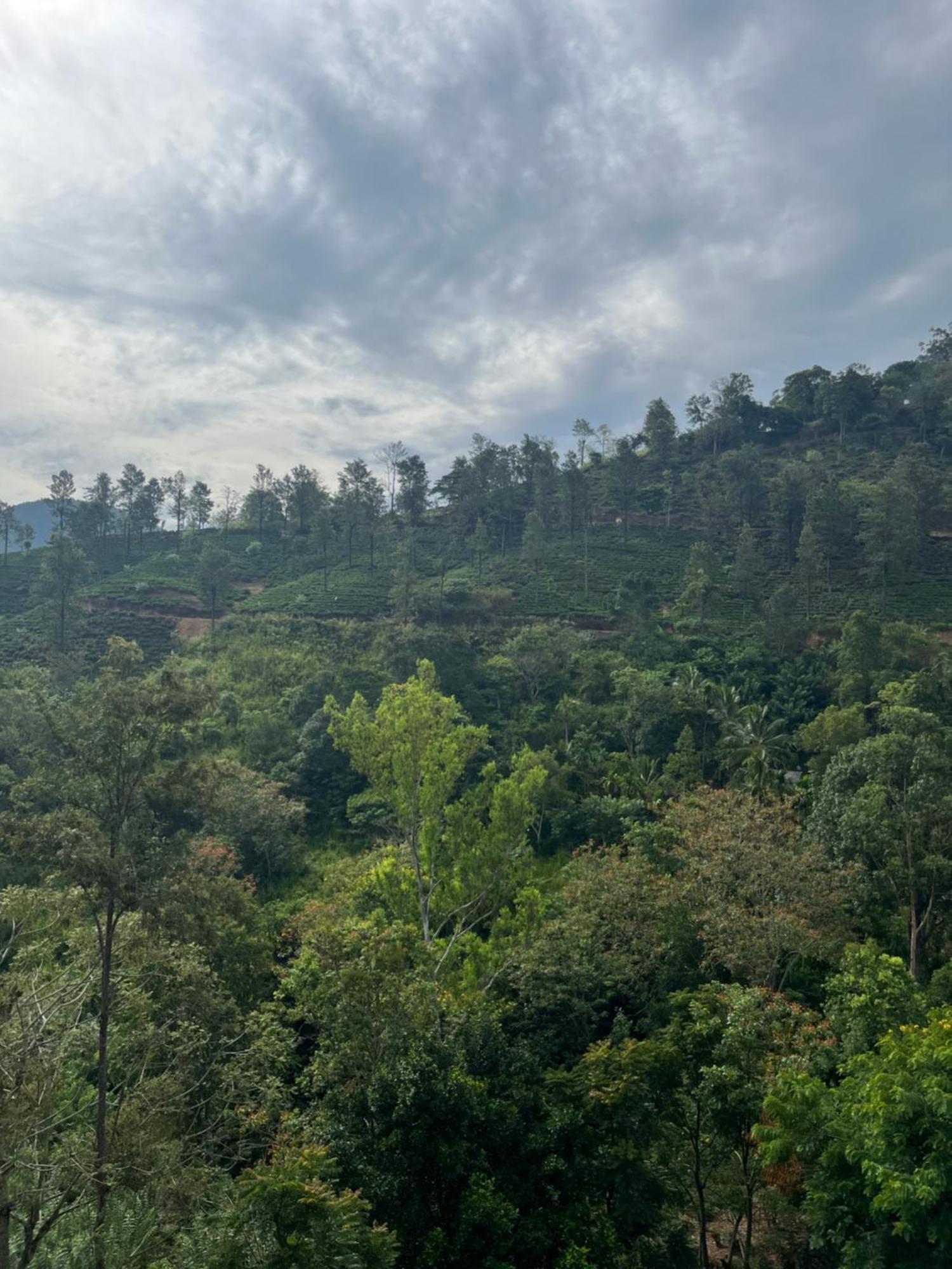 Aura View Homestay Ella
