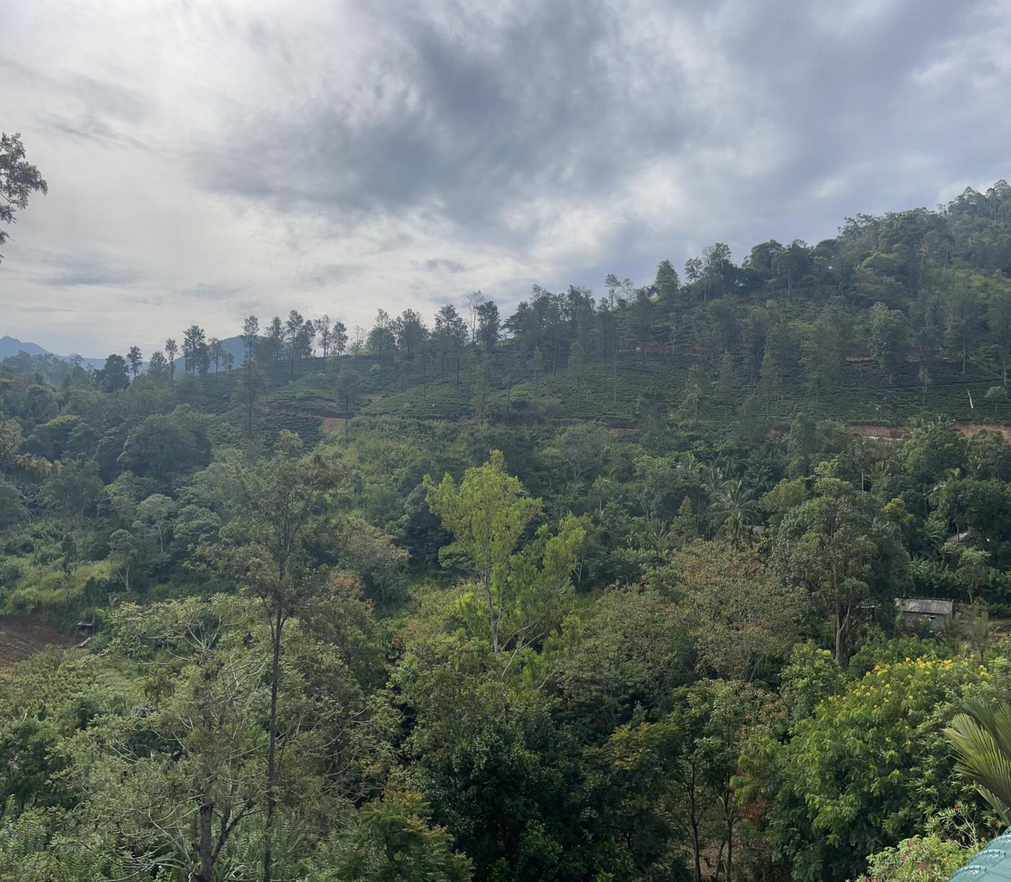 Homestay Aura View
