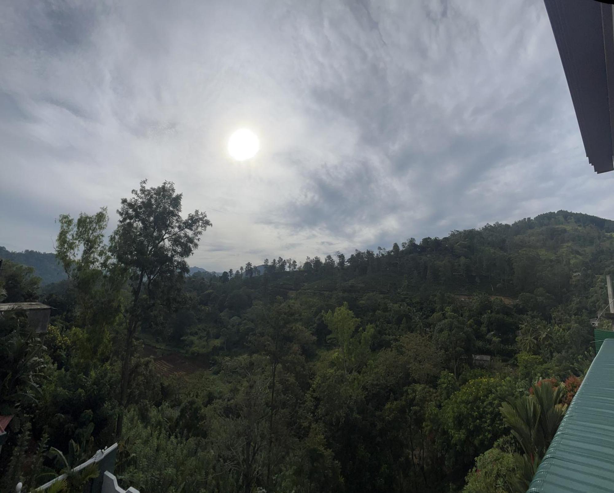 Aura View Homestay