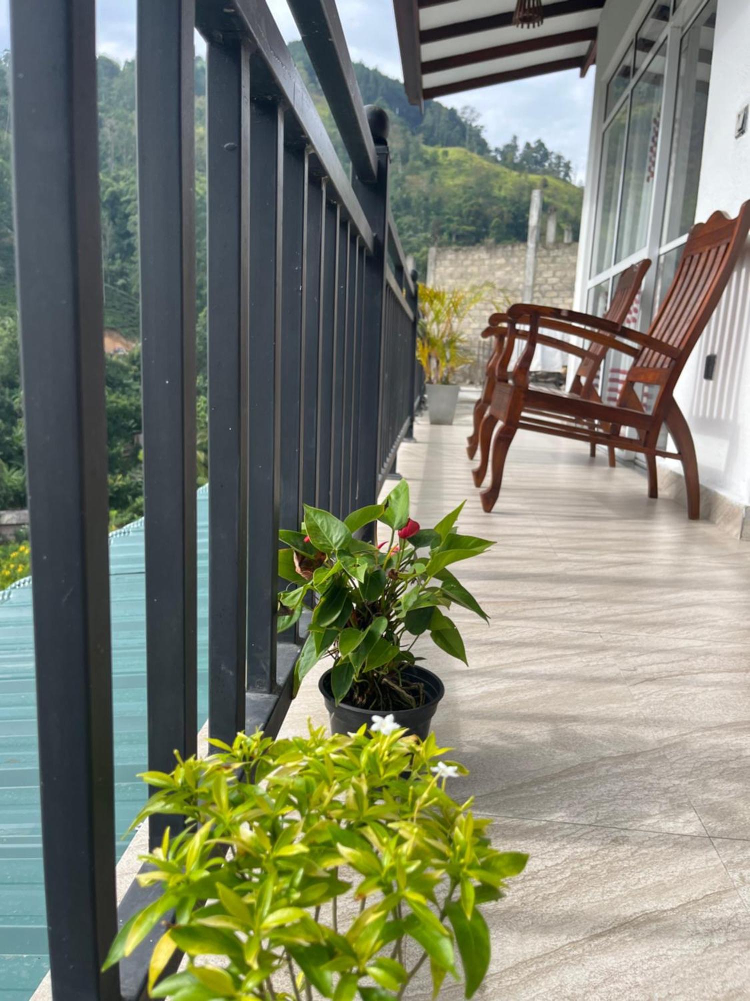 Aura View