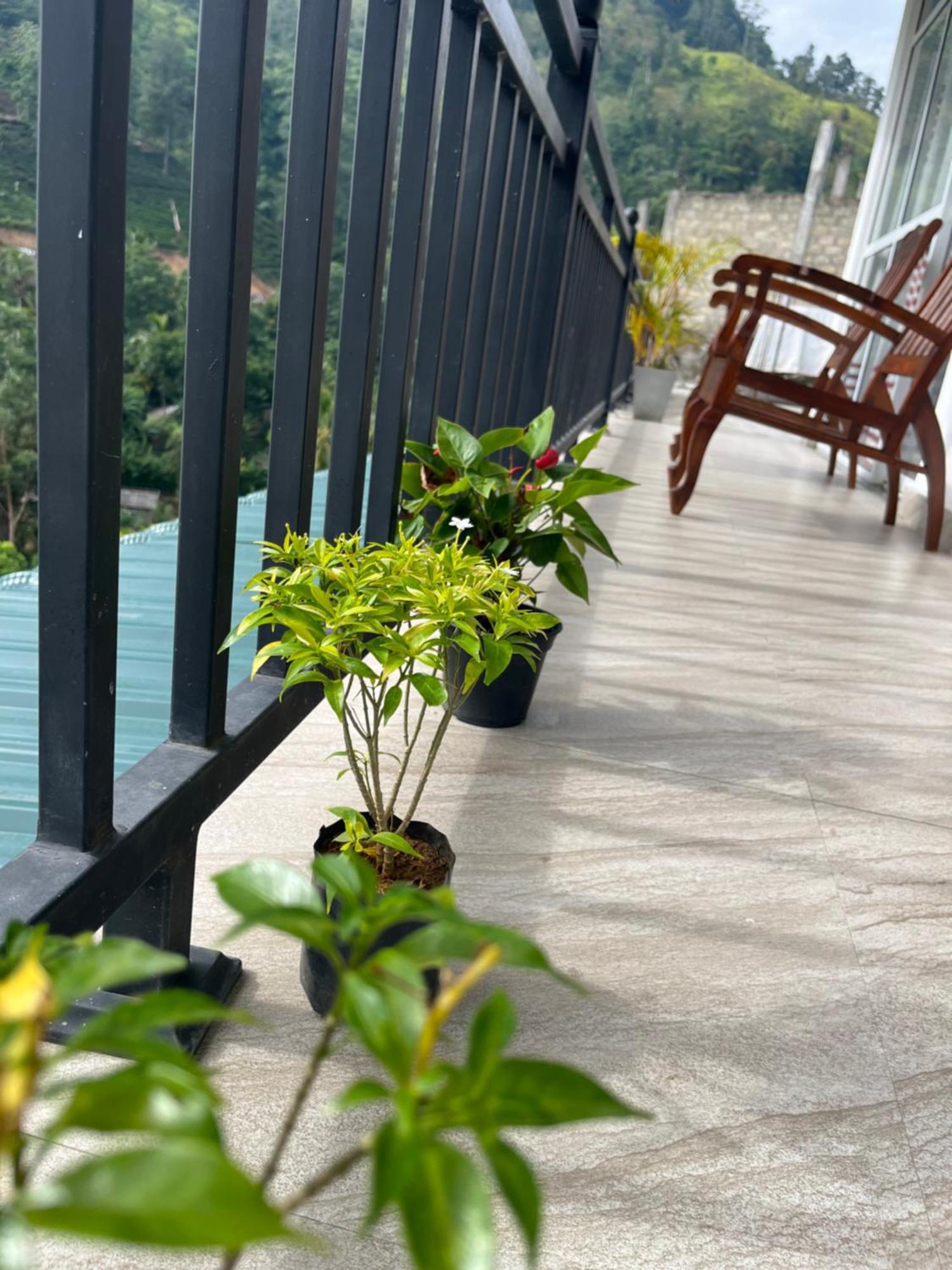 Aura View Homestay