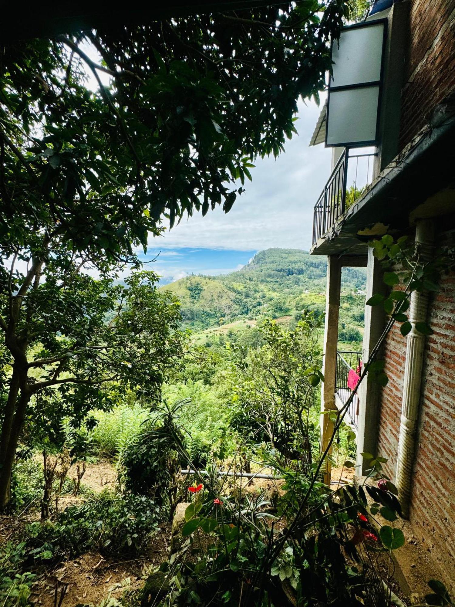 Homestay Will Guest Ella