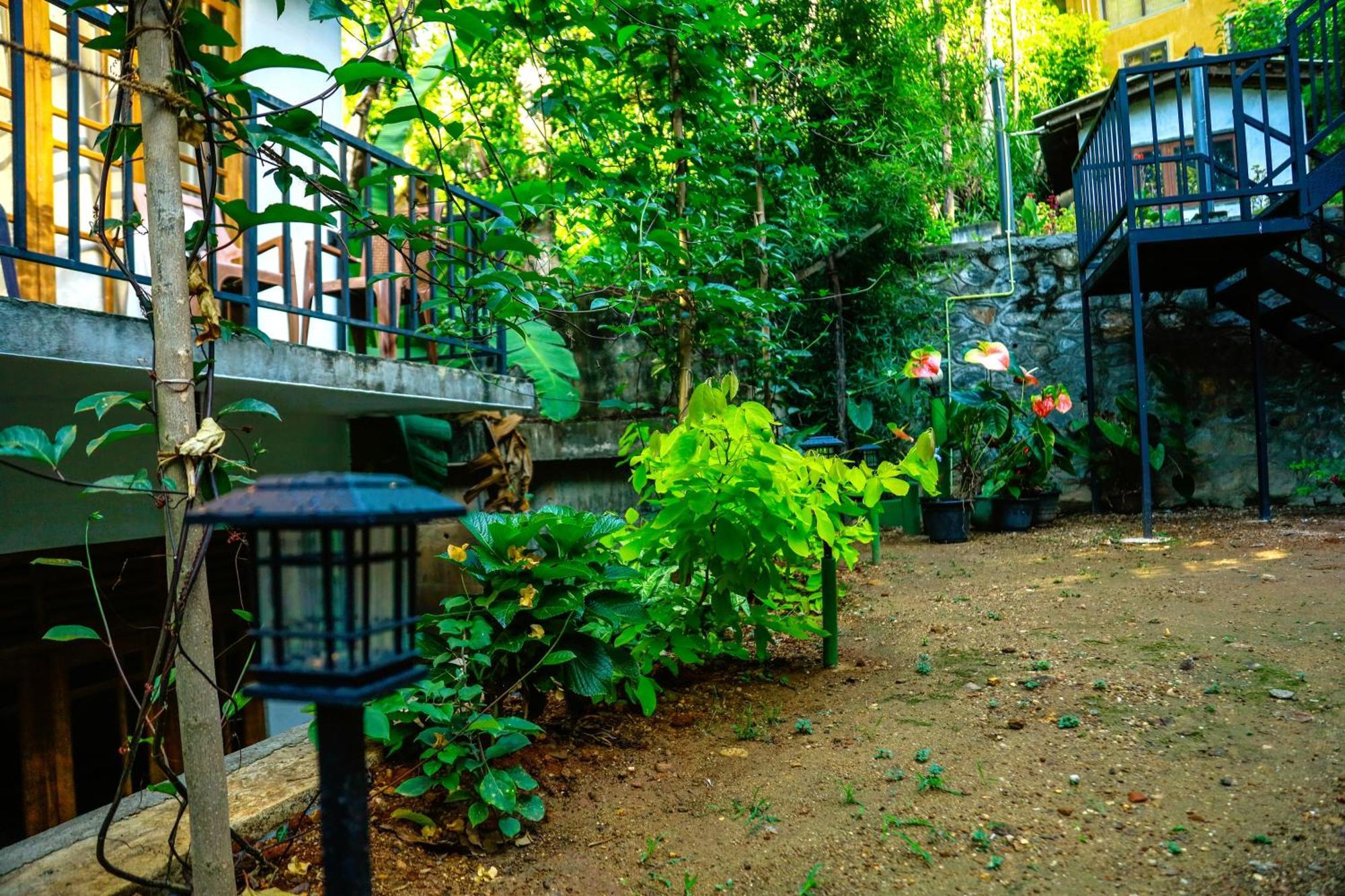 Dinaro Guest Guest house Ella