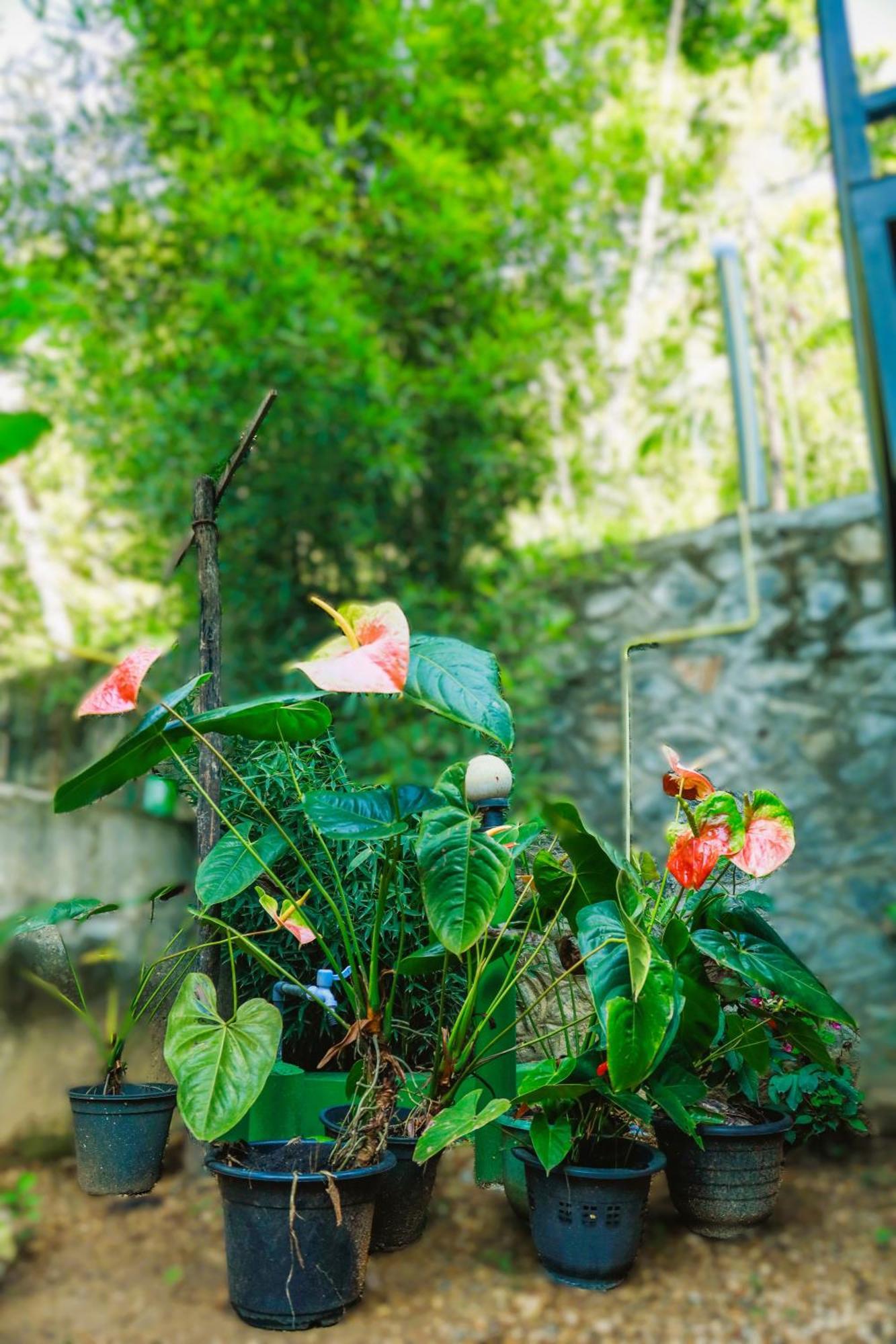 Dinaro Guest Guest house