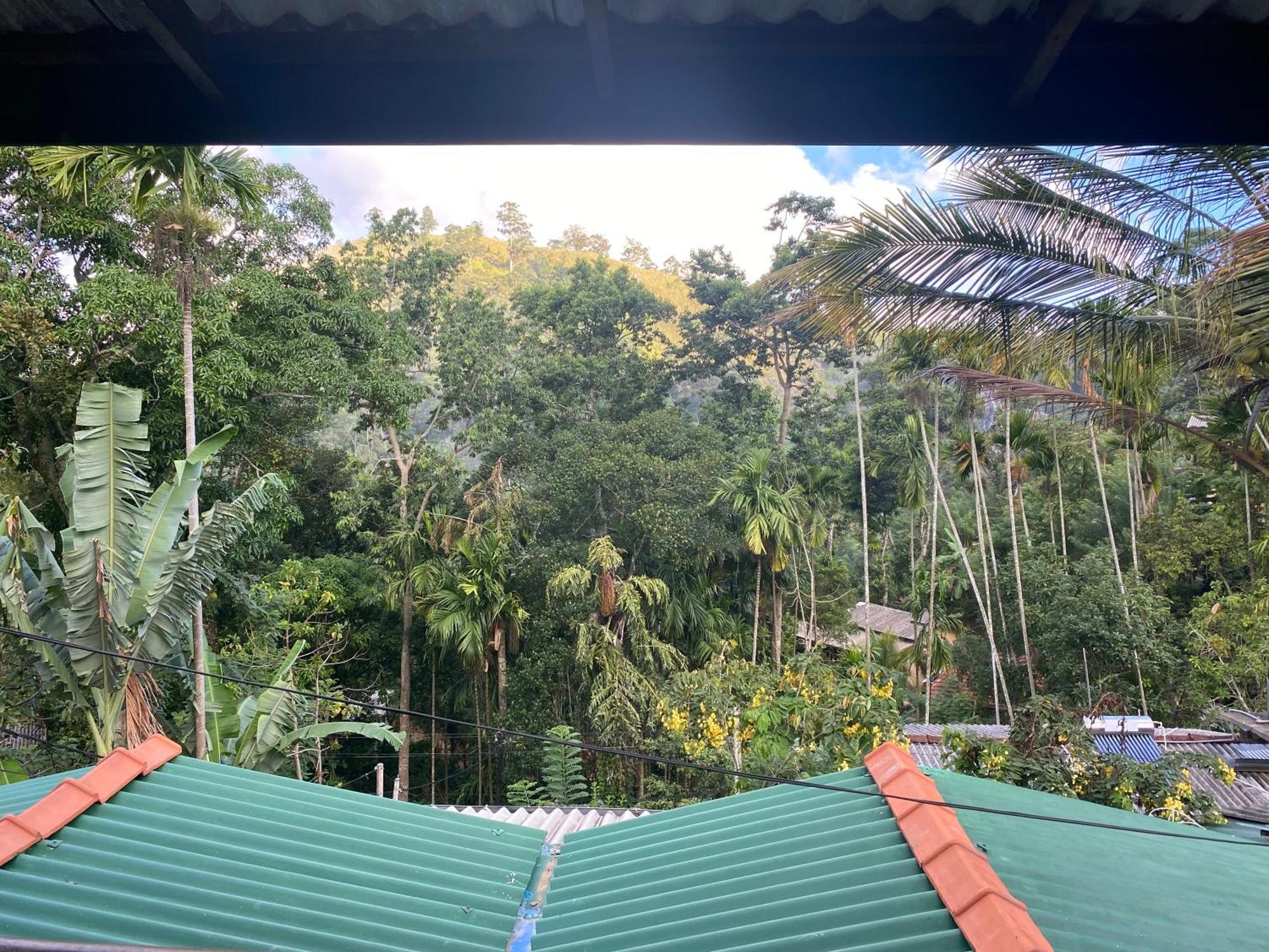 Cozy Waterfall Road Hotel