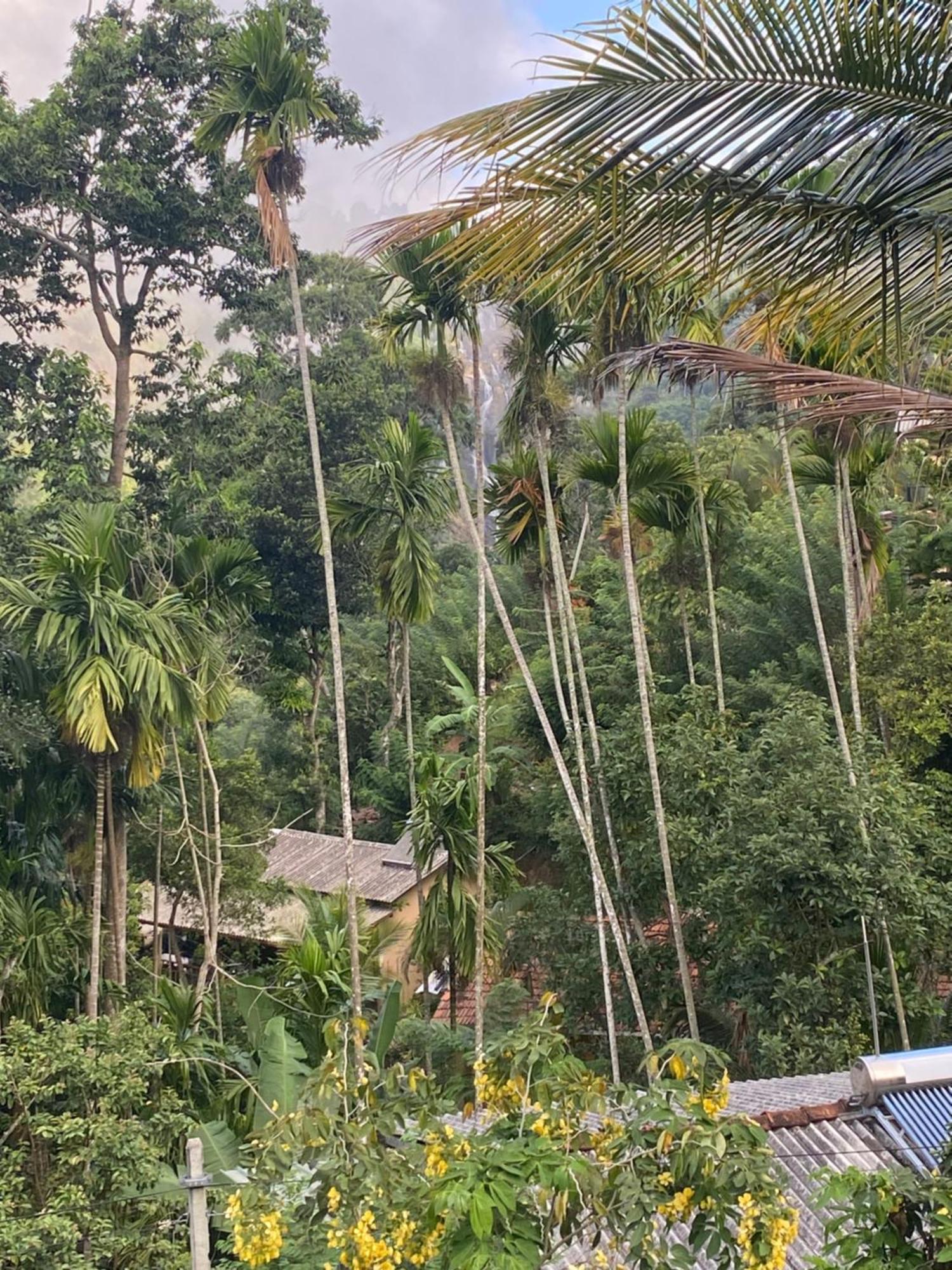 Hotel Cozy Waterfall Road *