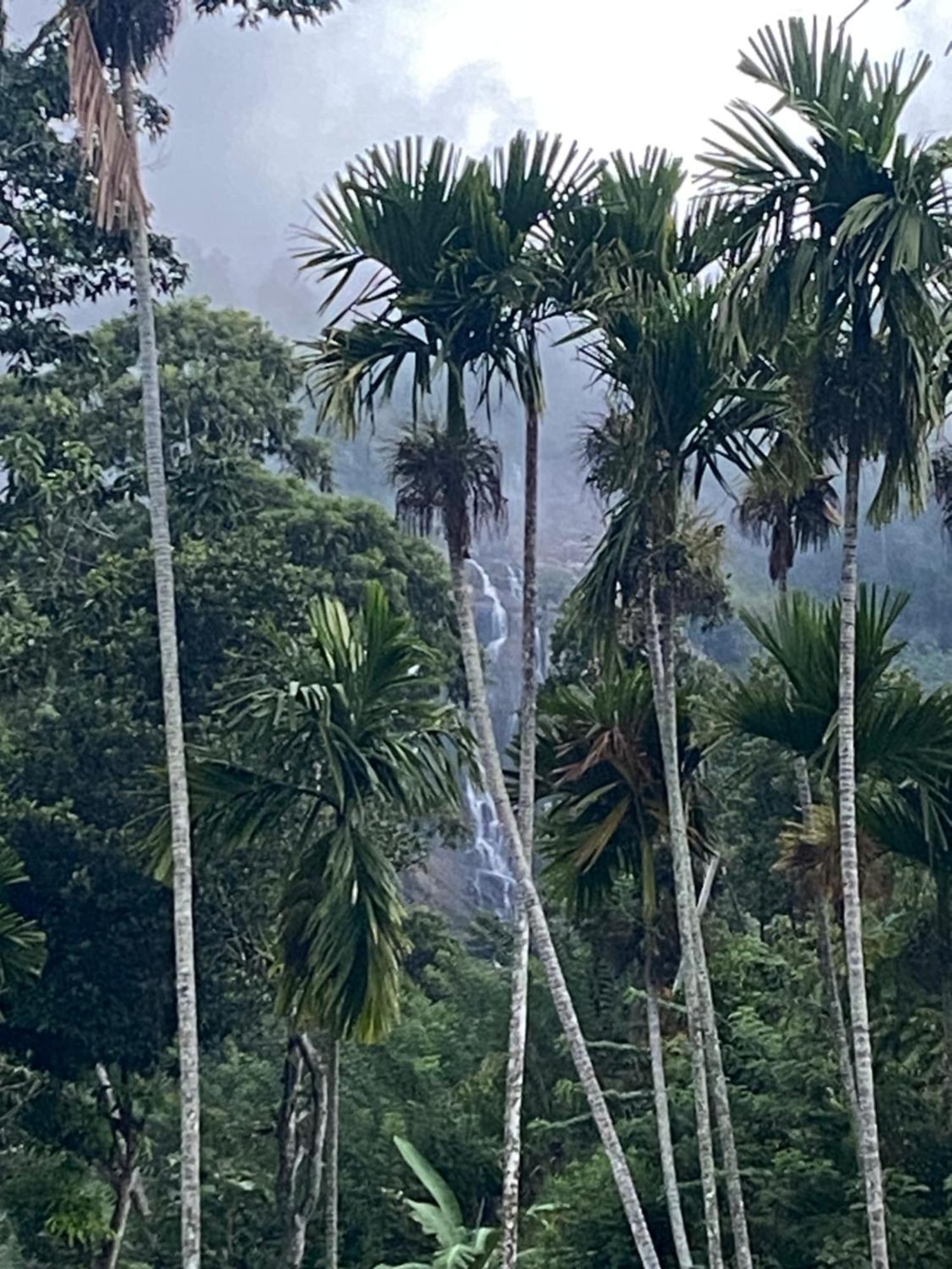 Hotel Cozy Waterfall Road *