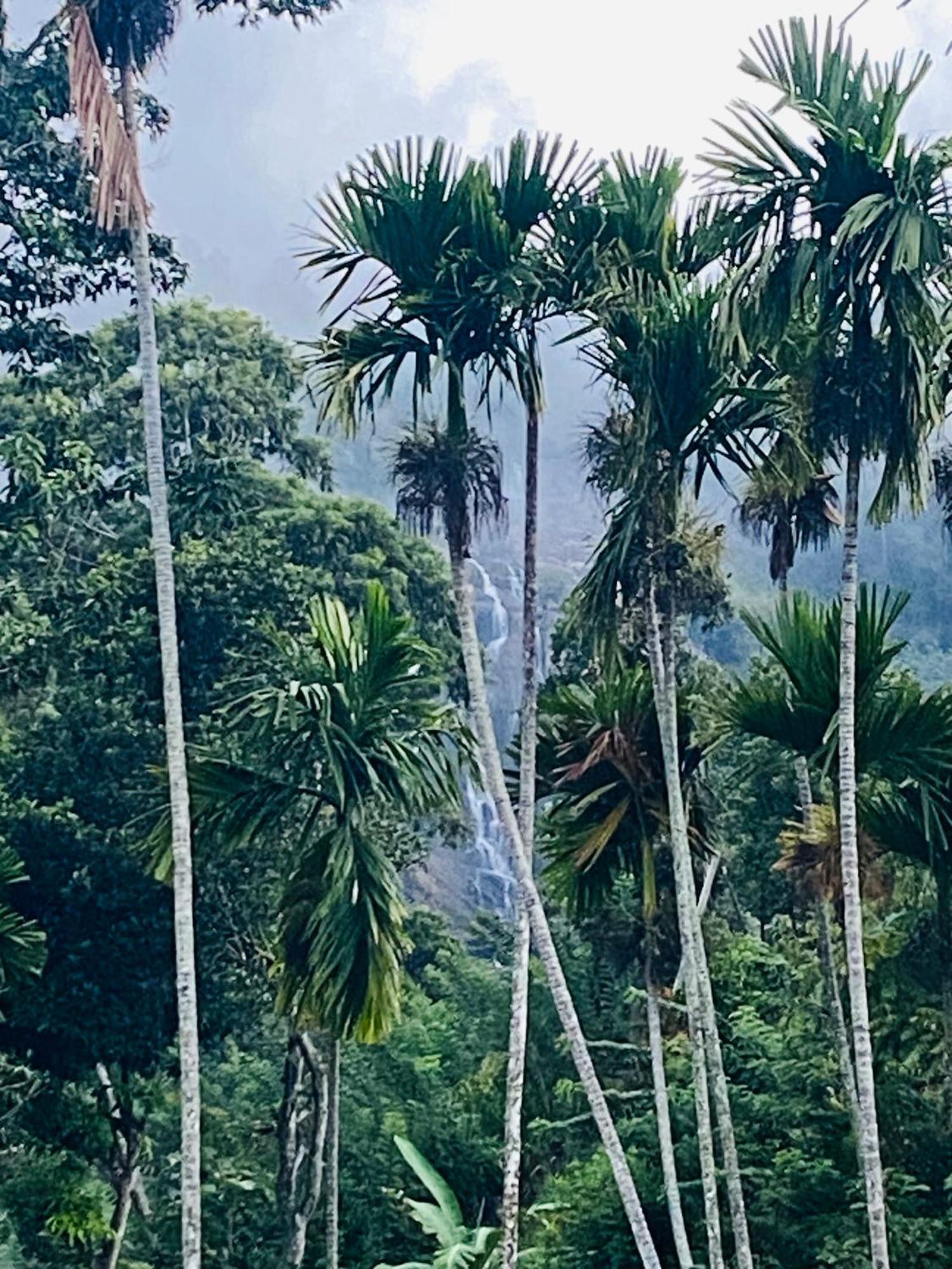 Cozy Waterfall Road Hotel