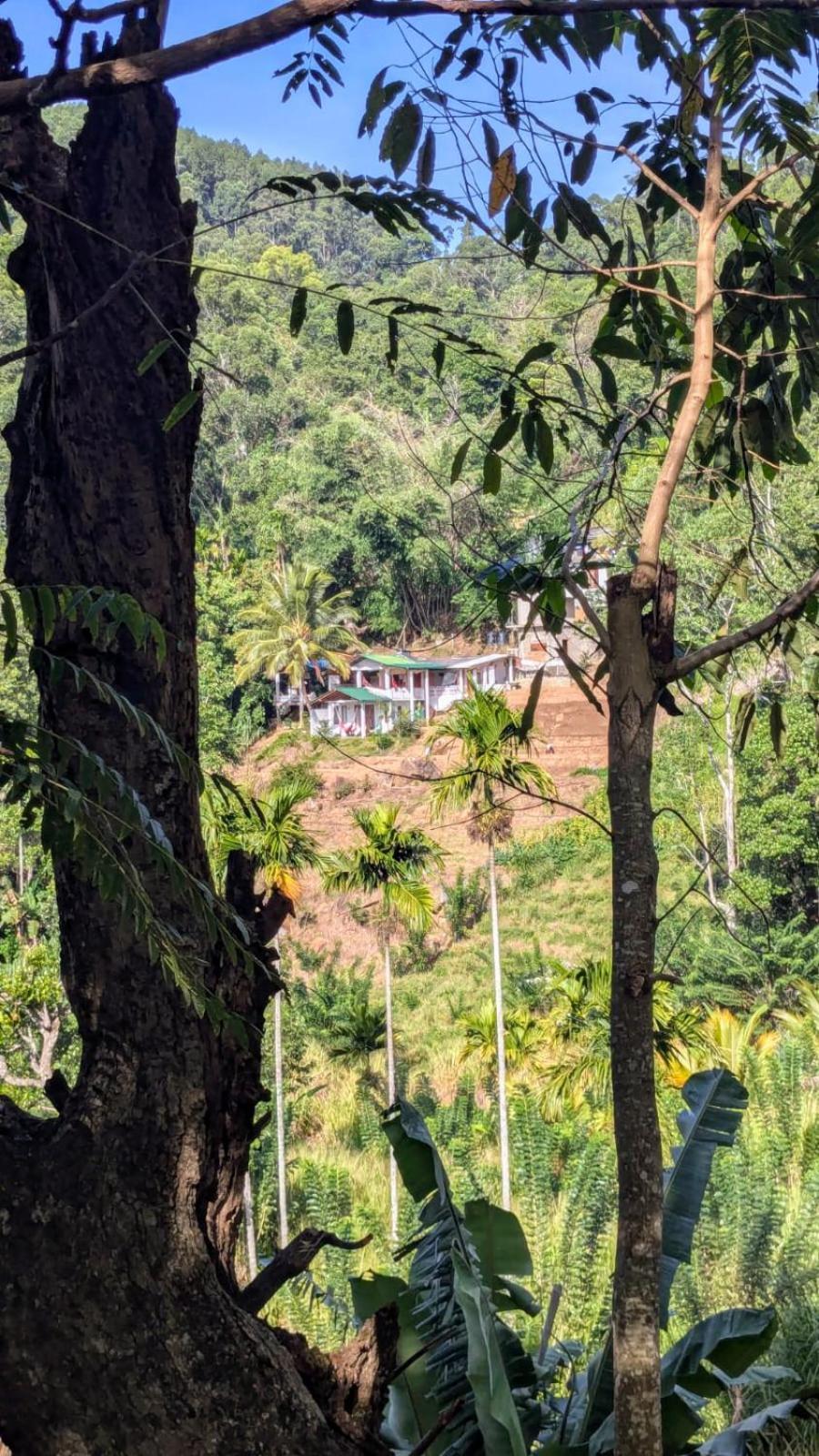 New Farmers Paradise Homestay Ella