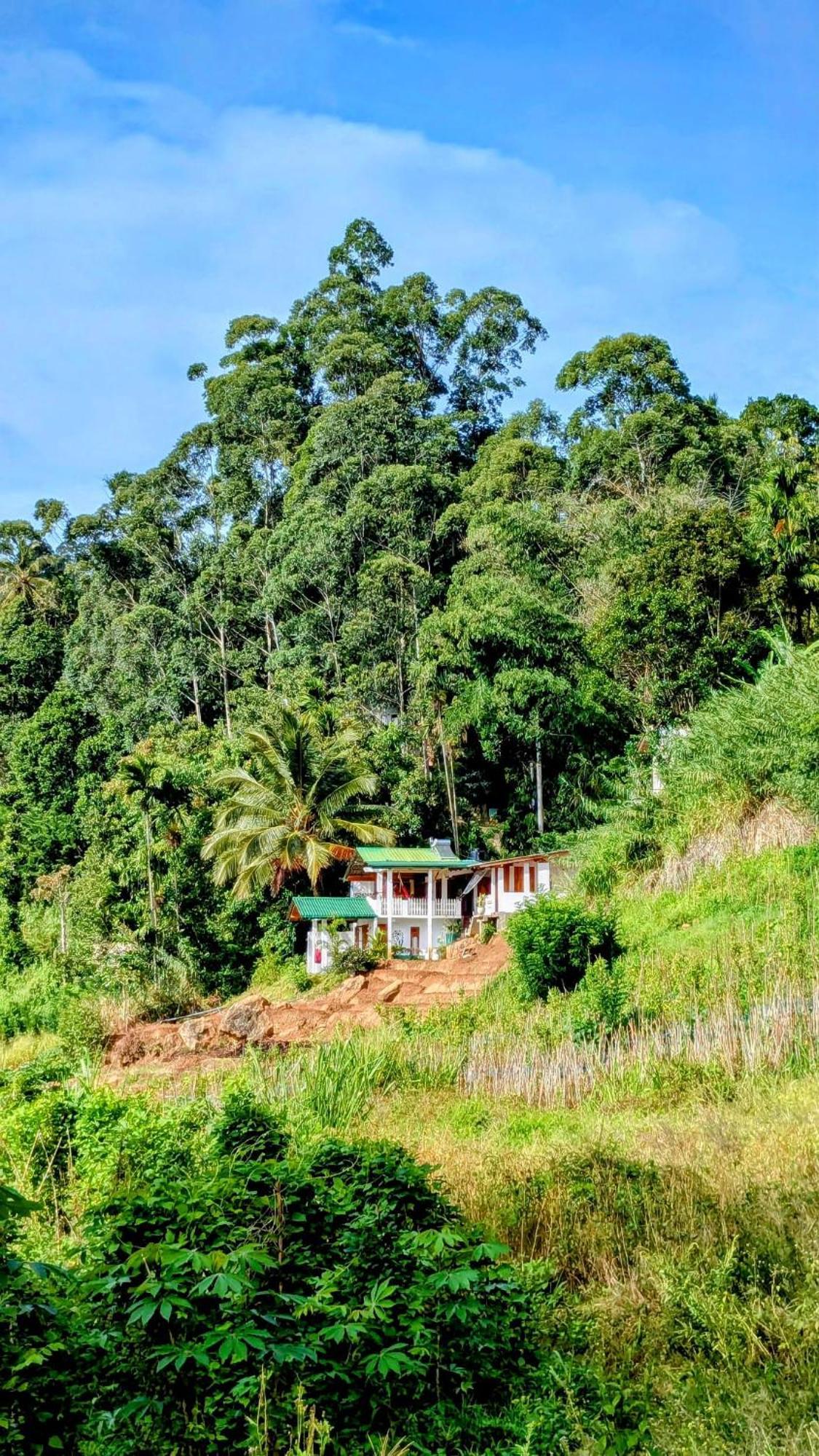 Homestay New Farmers Paradise *