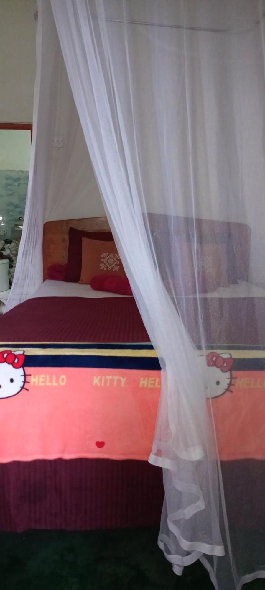 Dream Nest * Ella